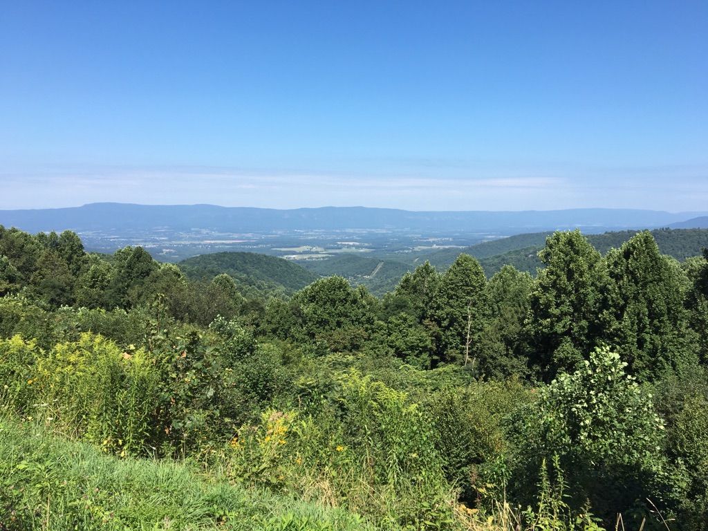 Vast mountain landscape covered in dense green forest under a bright blue sky. - Skyline Drive – Fishers Gap Overlook loop from Massanutten