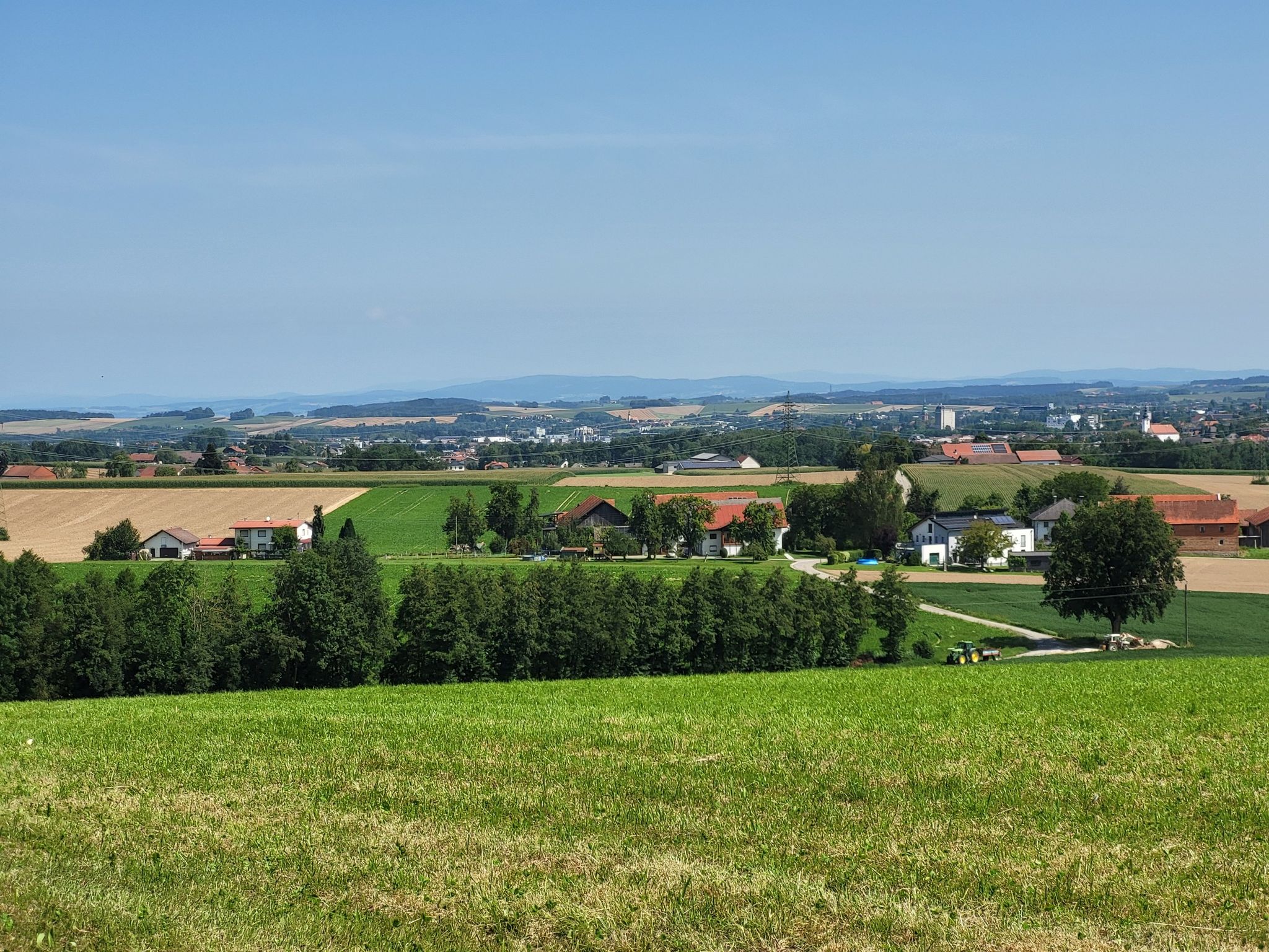 Weiblick von Baumgarten