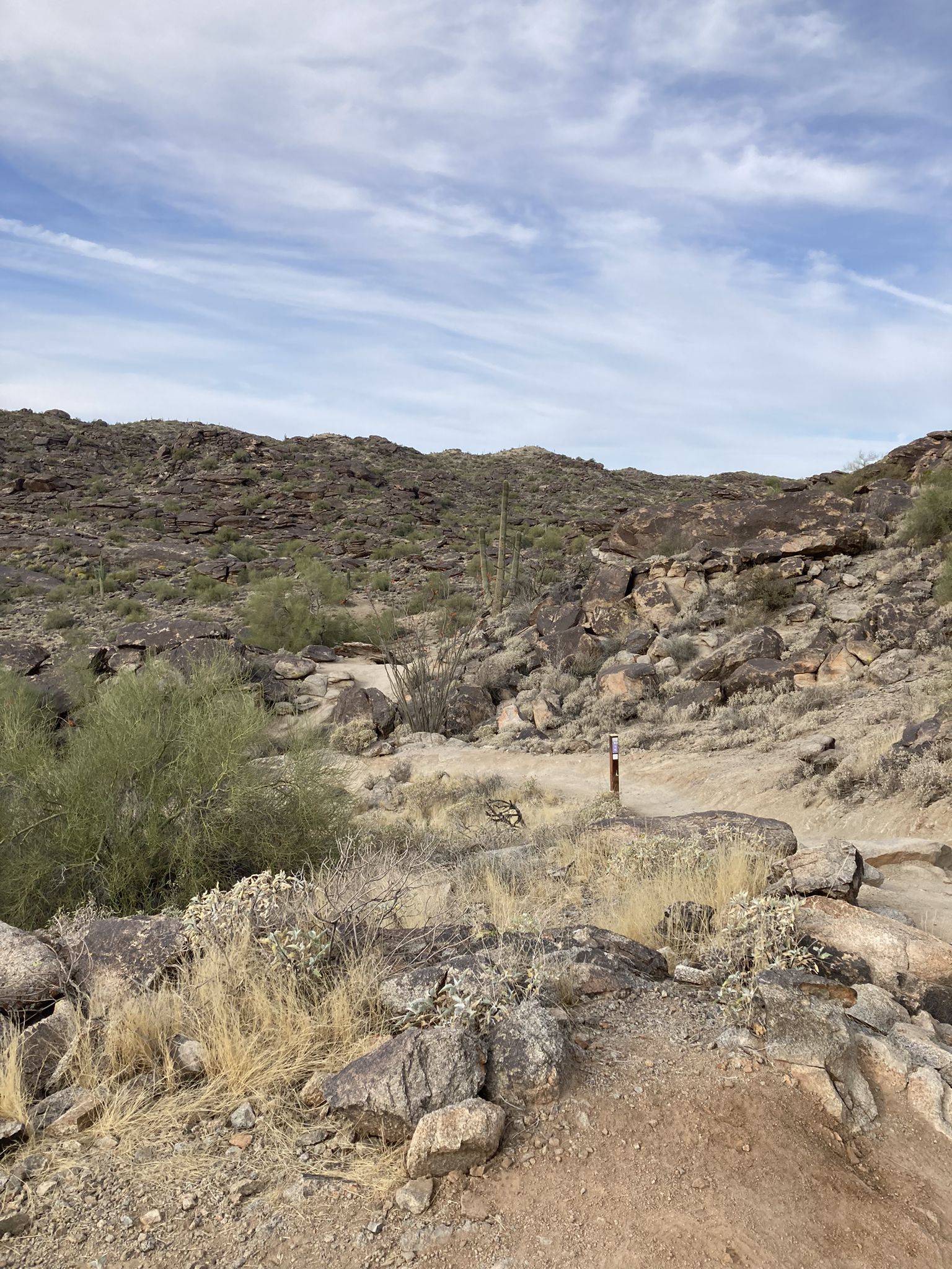 Rocky desert trail with sparse bushes and distant mountains under cloudy sky. - Mormon Loop and National Trail