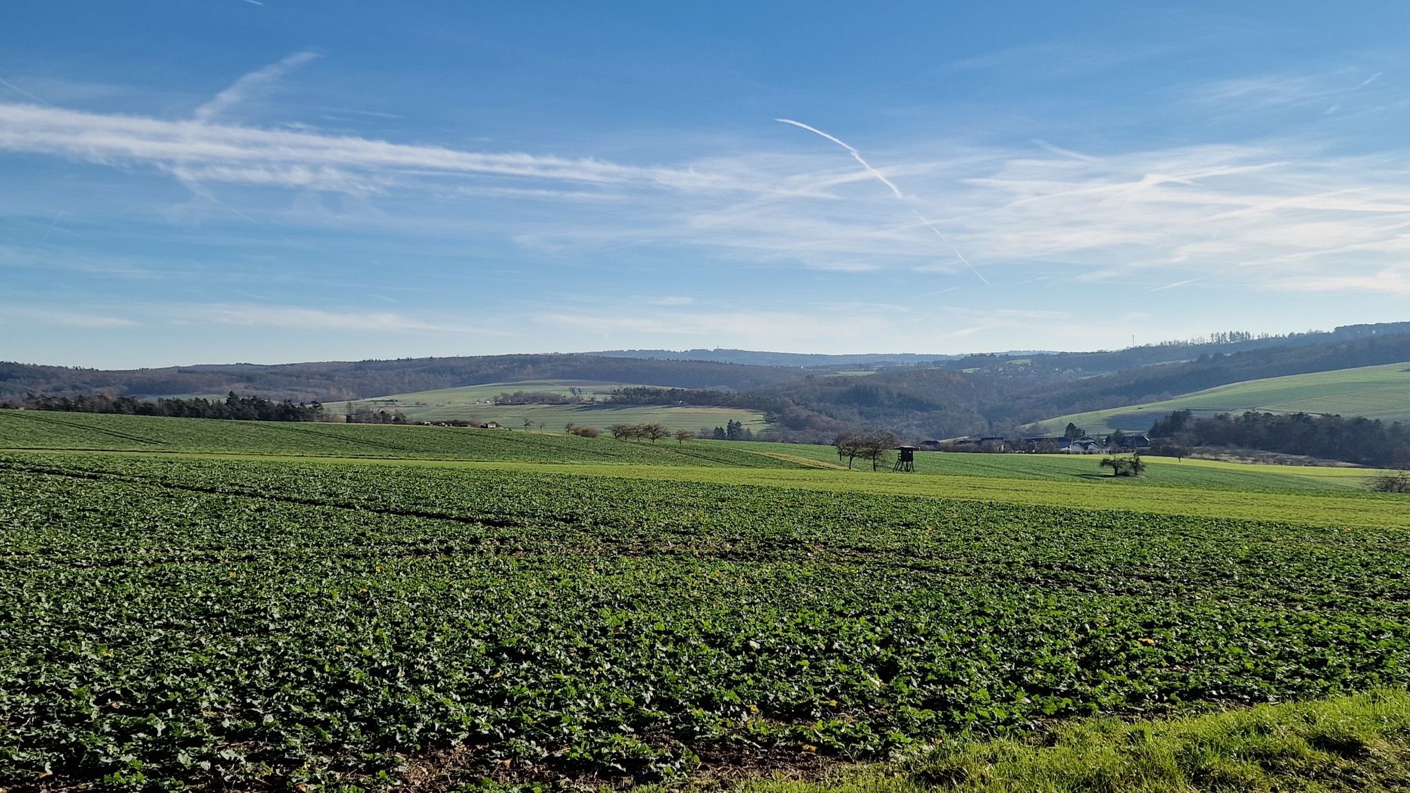 Niederlibbach im Tal