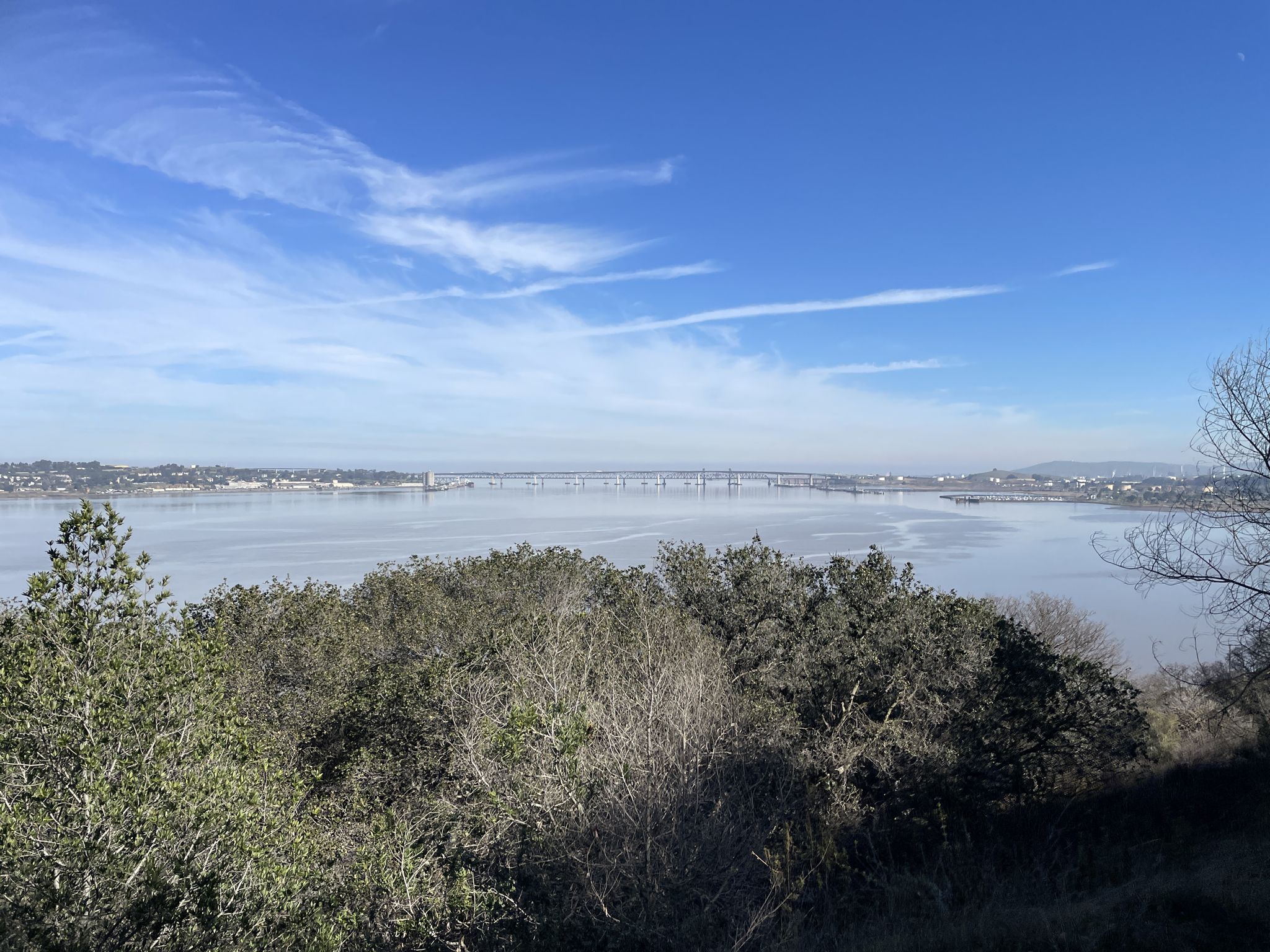 Calm bay with a distant bridge, surrounded by trees under a blue sky. - Aquatic Center – Rankin Park loop from Martinez