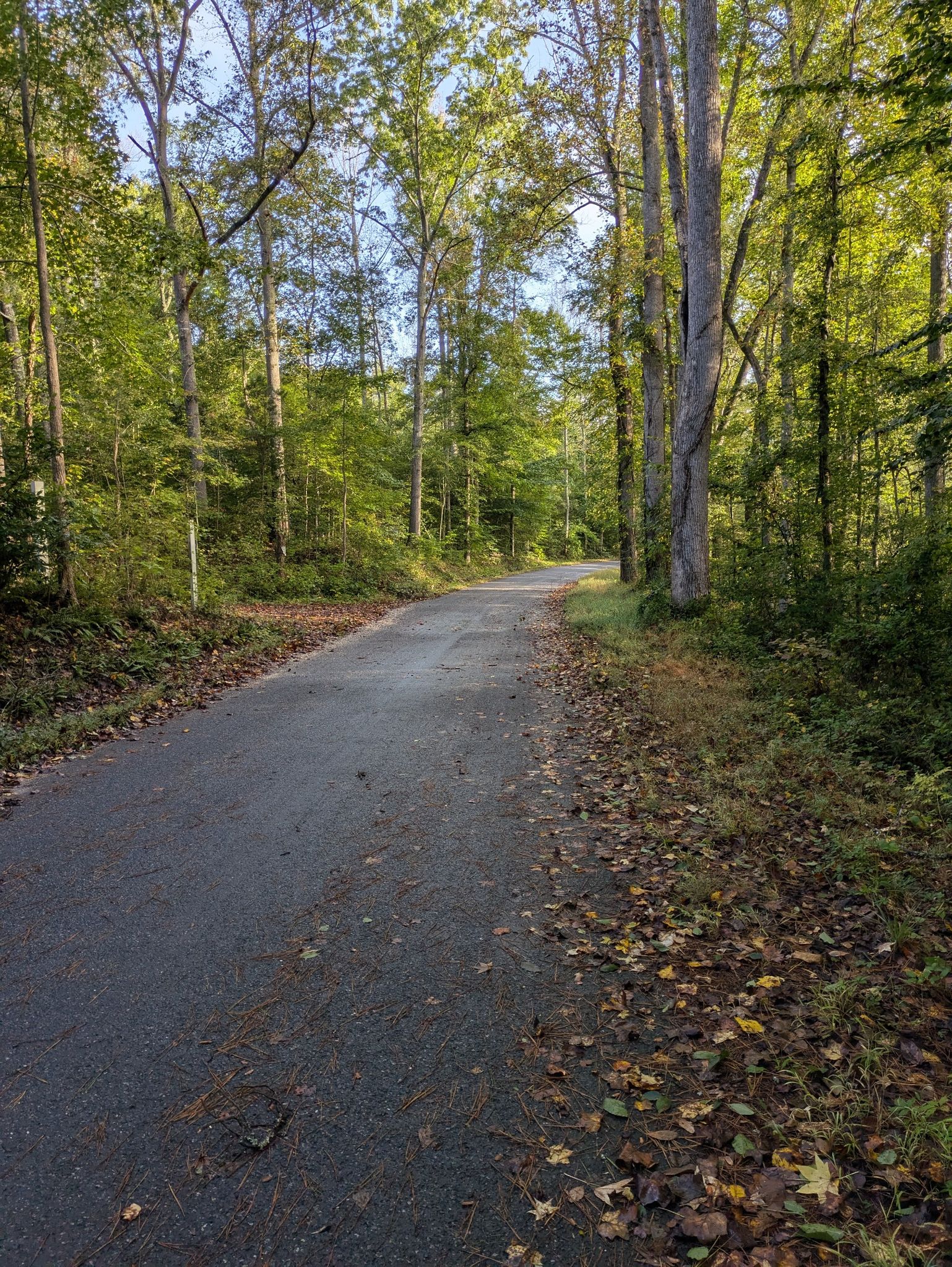 Great routes - either farms or local forests