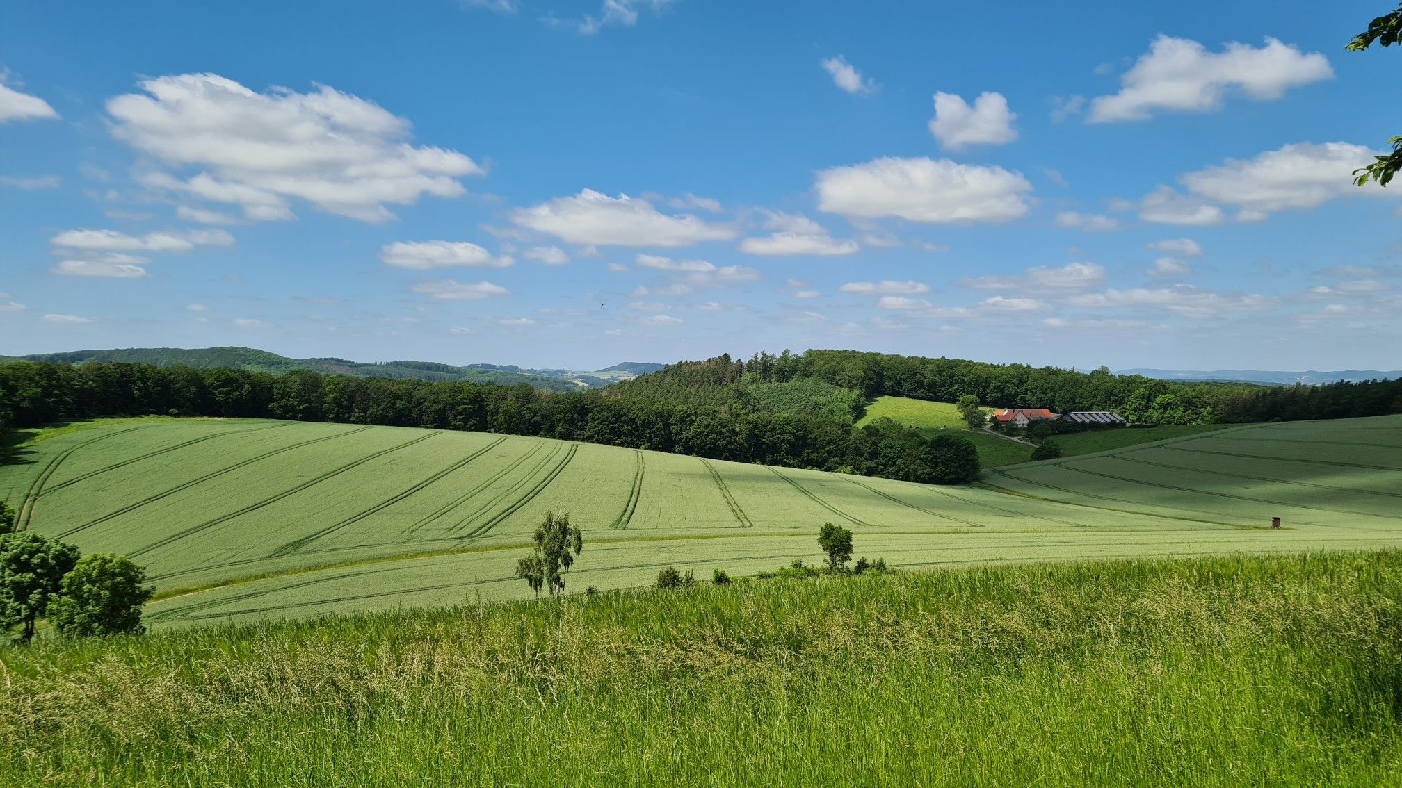 Familienpastplatz auf der Langewand. Blick nach Westen