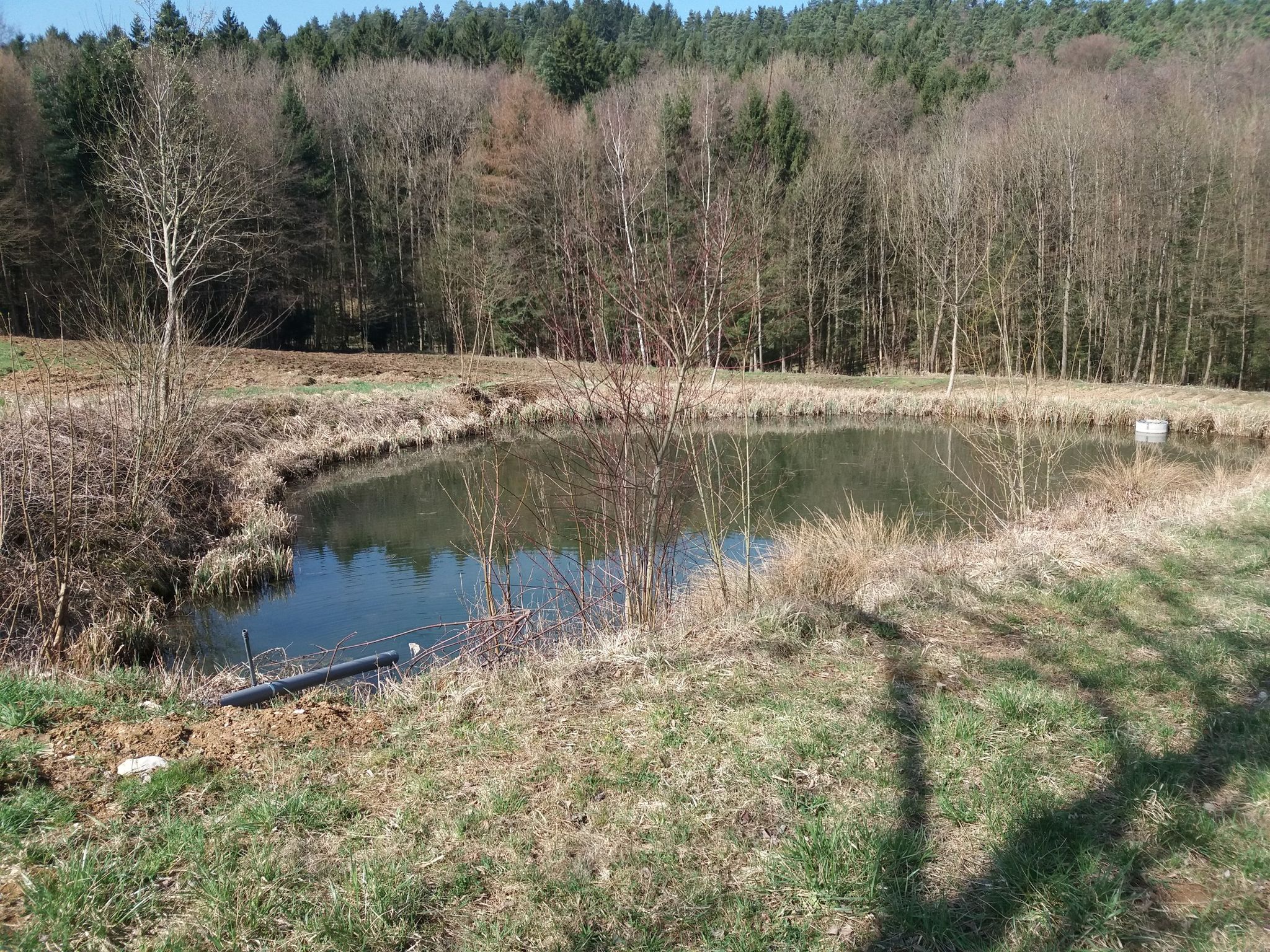 Weiher 