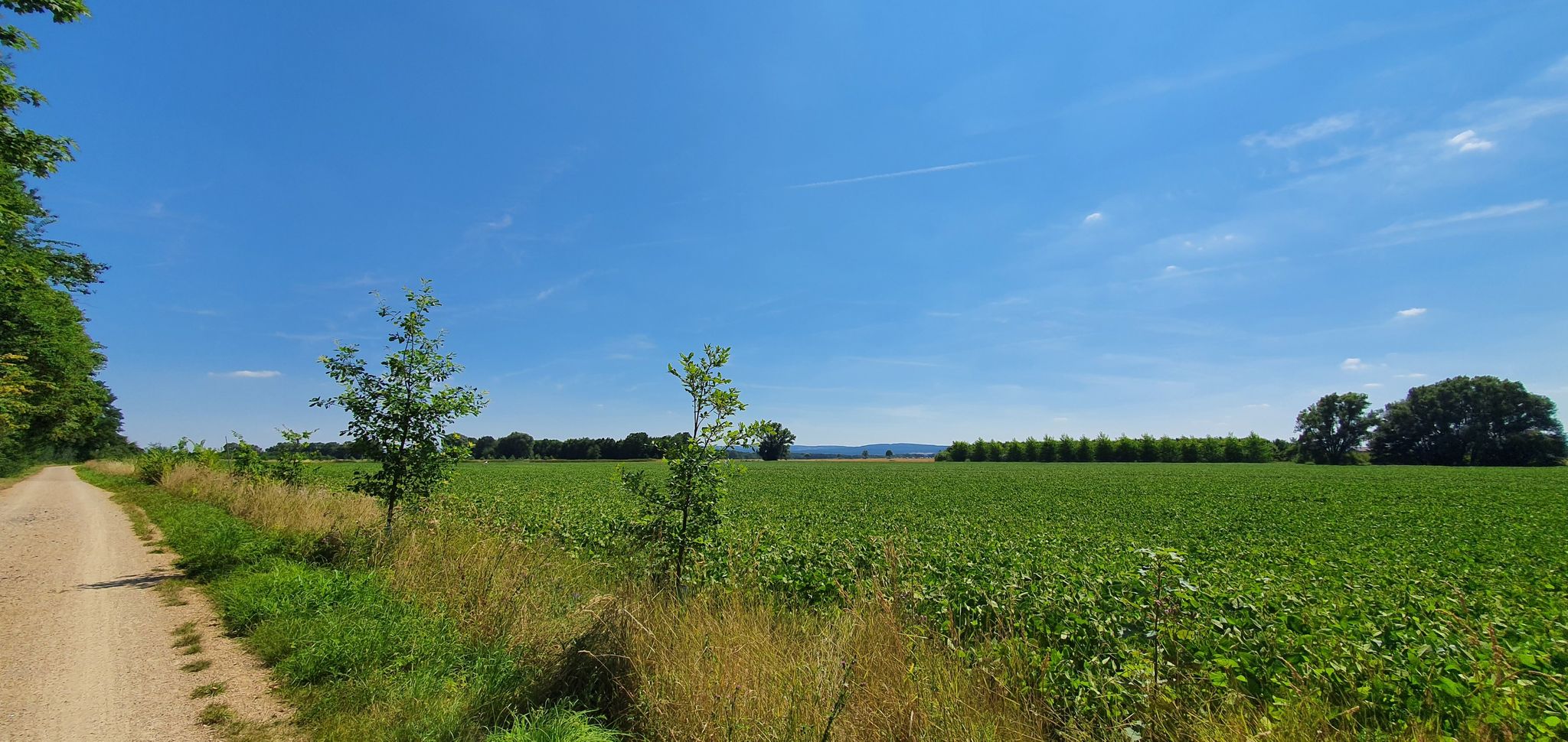herrliche Fernsicht