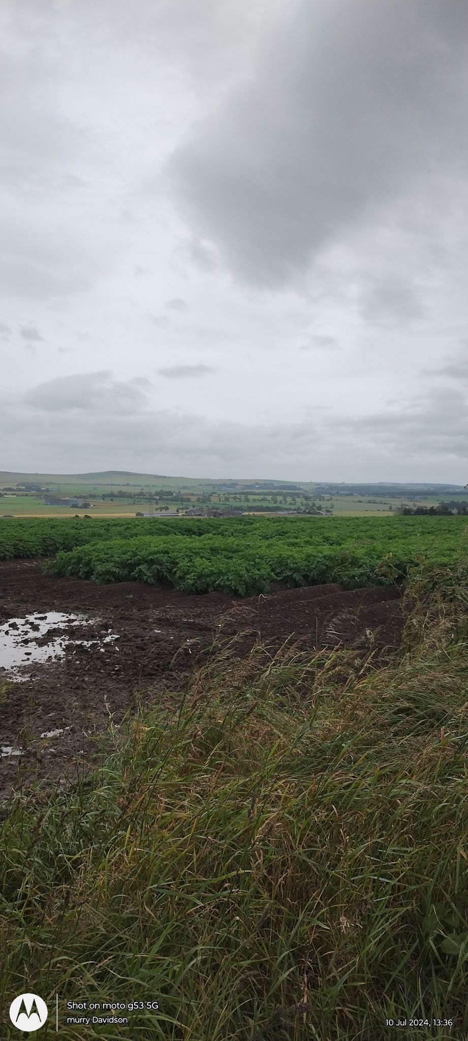 sidlaw hills