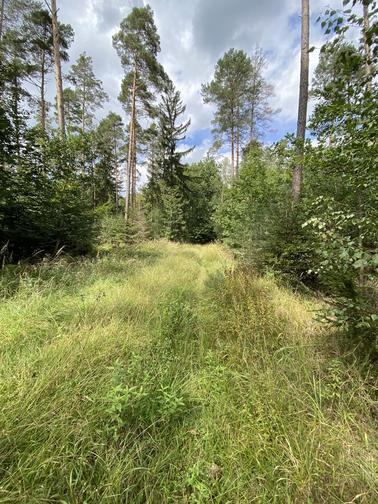 Komoot des is jetzt aber ka Trail odda?😁