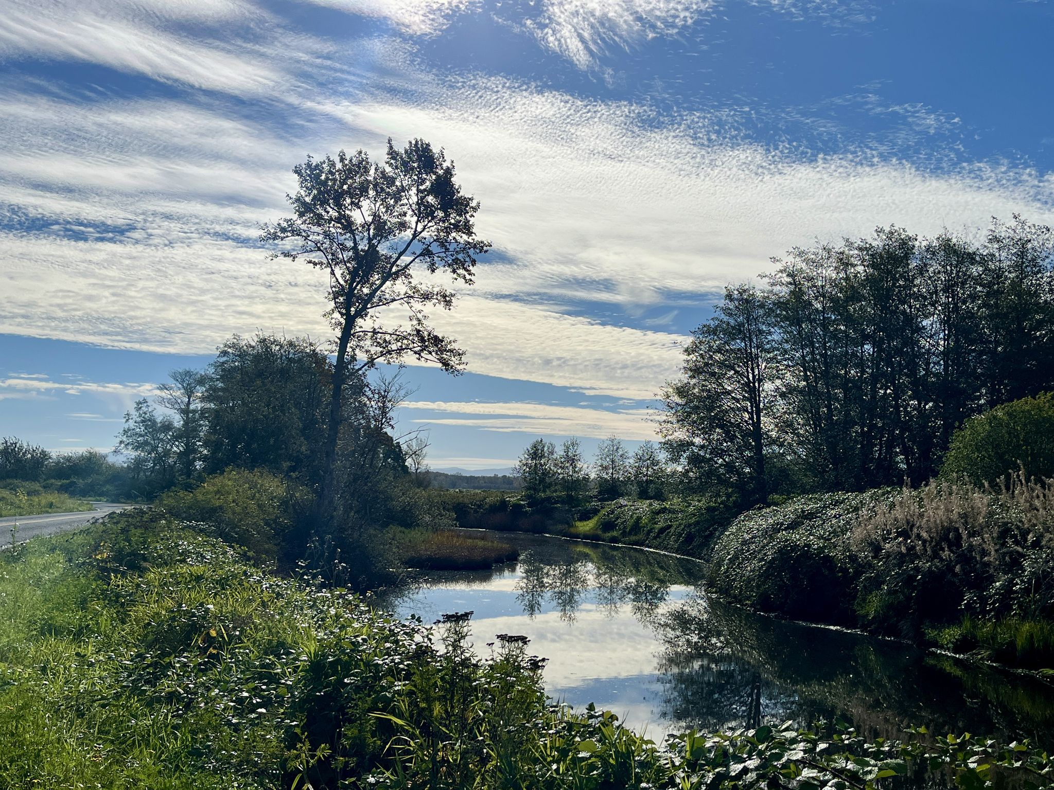 Calm river reflects trees and bright, partly cloudy sky. - Birch Bay State Park Beach loop from Ferndale
