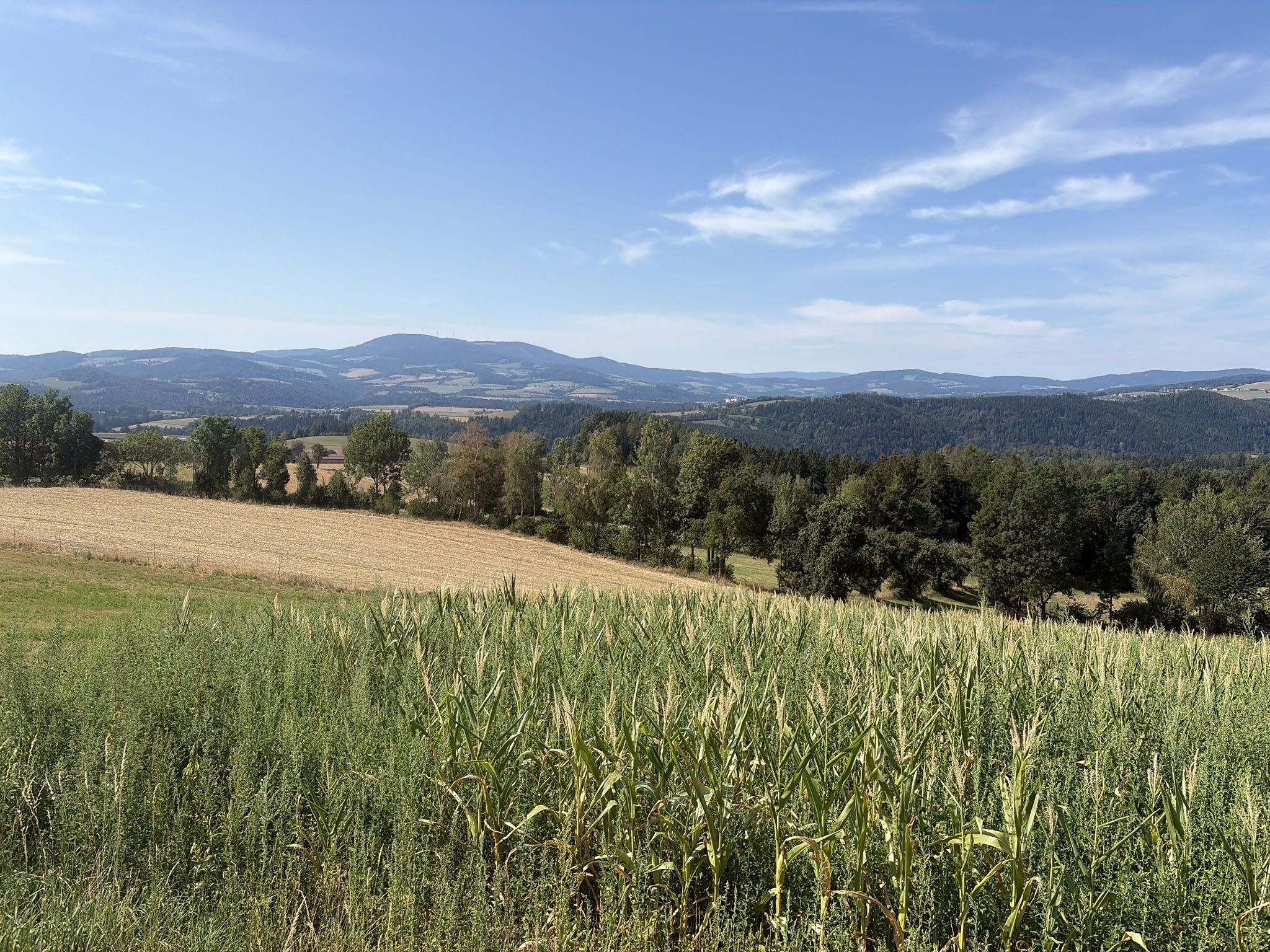 Blick zum Masenberg und Stift Vorau