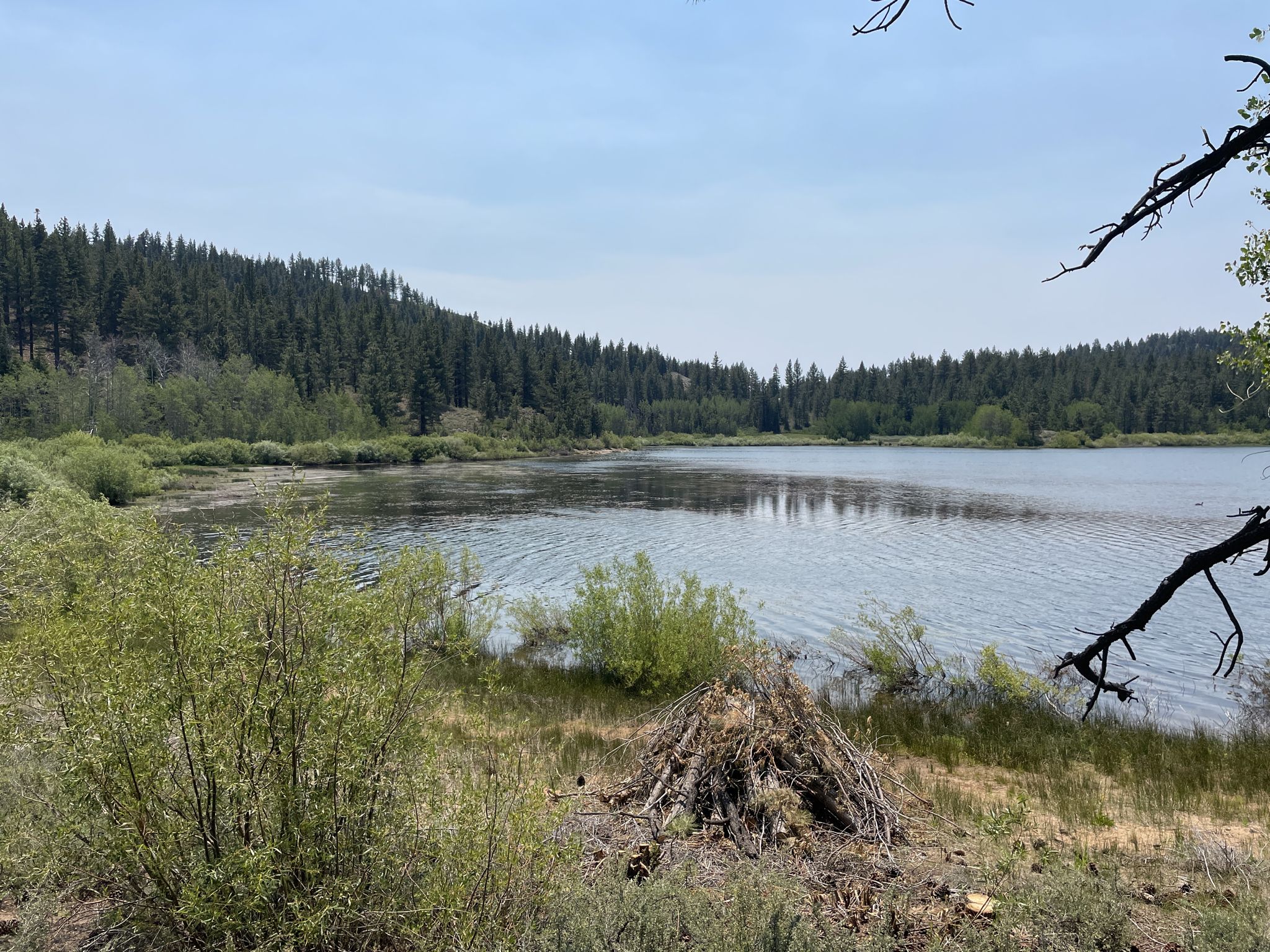 A calm lake surrounded by green forest and brush under a bright sky. - Spooner Lake Trail