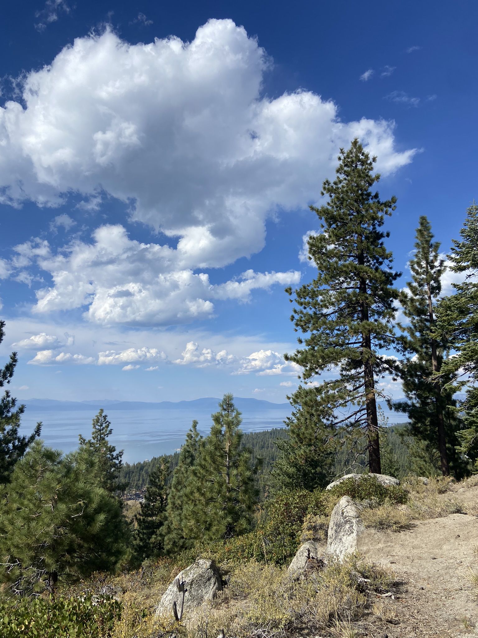 Panoramic view of a large lake and mountains from a forested hillside under clouds. - Zephyr Cove loop from Zephyr Cove