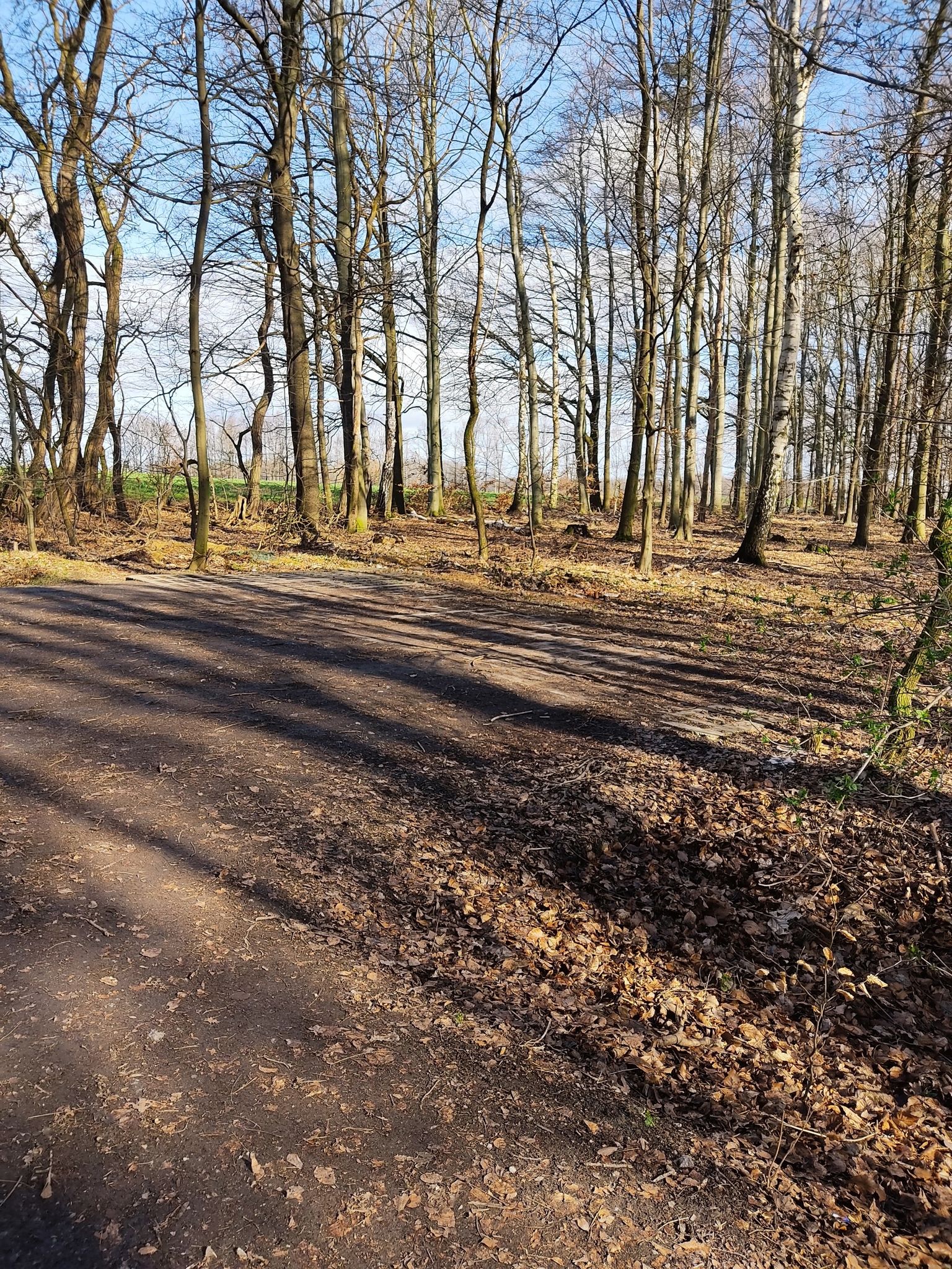 Wanderparkplatz Taucherwald