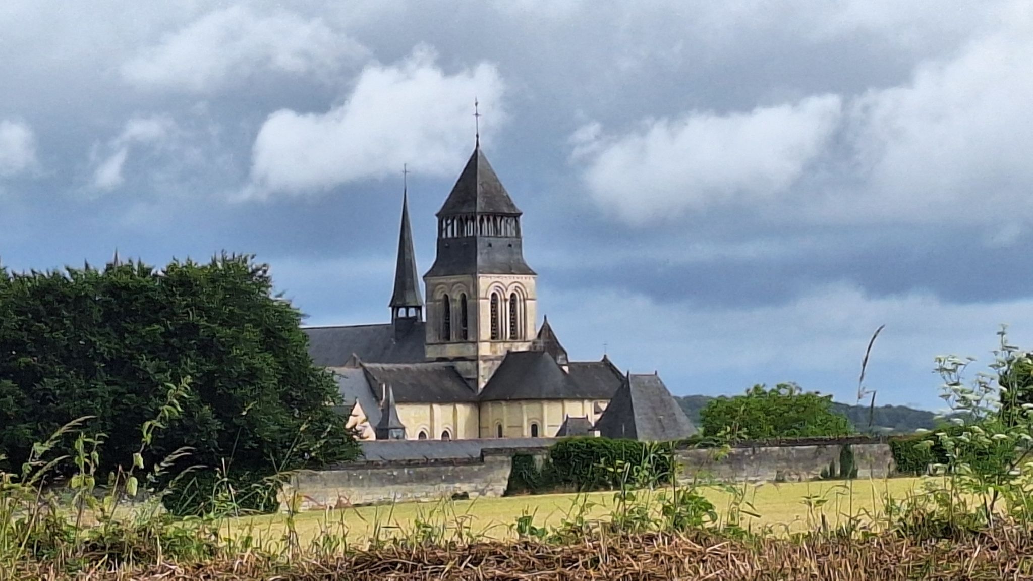 Zicht op Abbaye royale Notre-Dame de Fontevraud