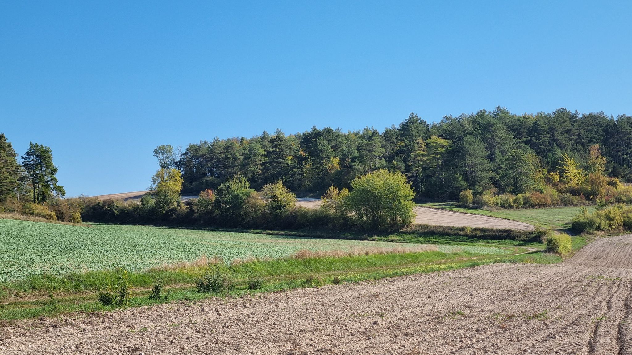 Mieux vaut descendre ce chemin herbeux que le remonter ! / It is better to go down this grassy path than to go up it!