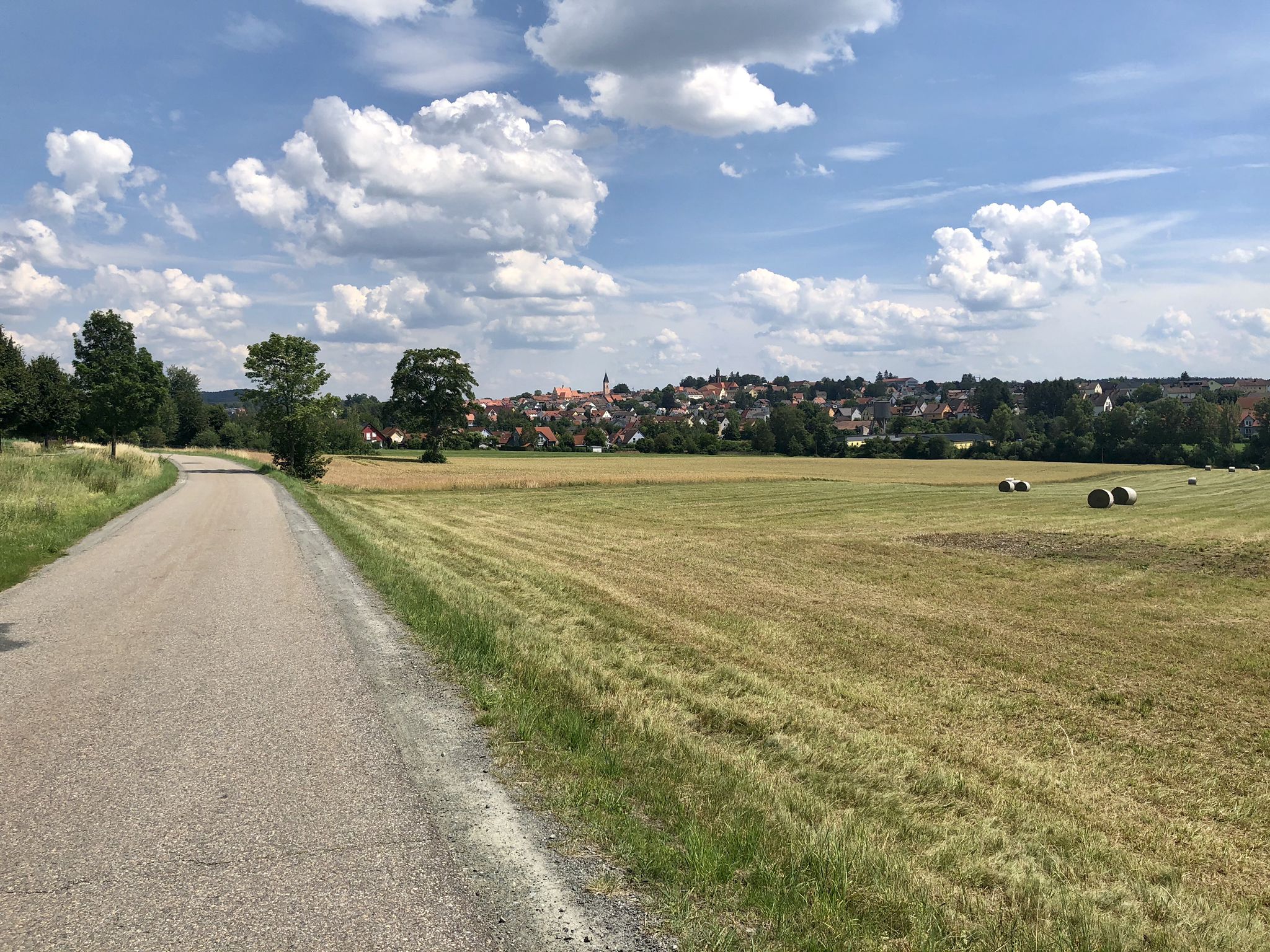 Blick auf Vohenstrauß