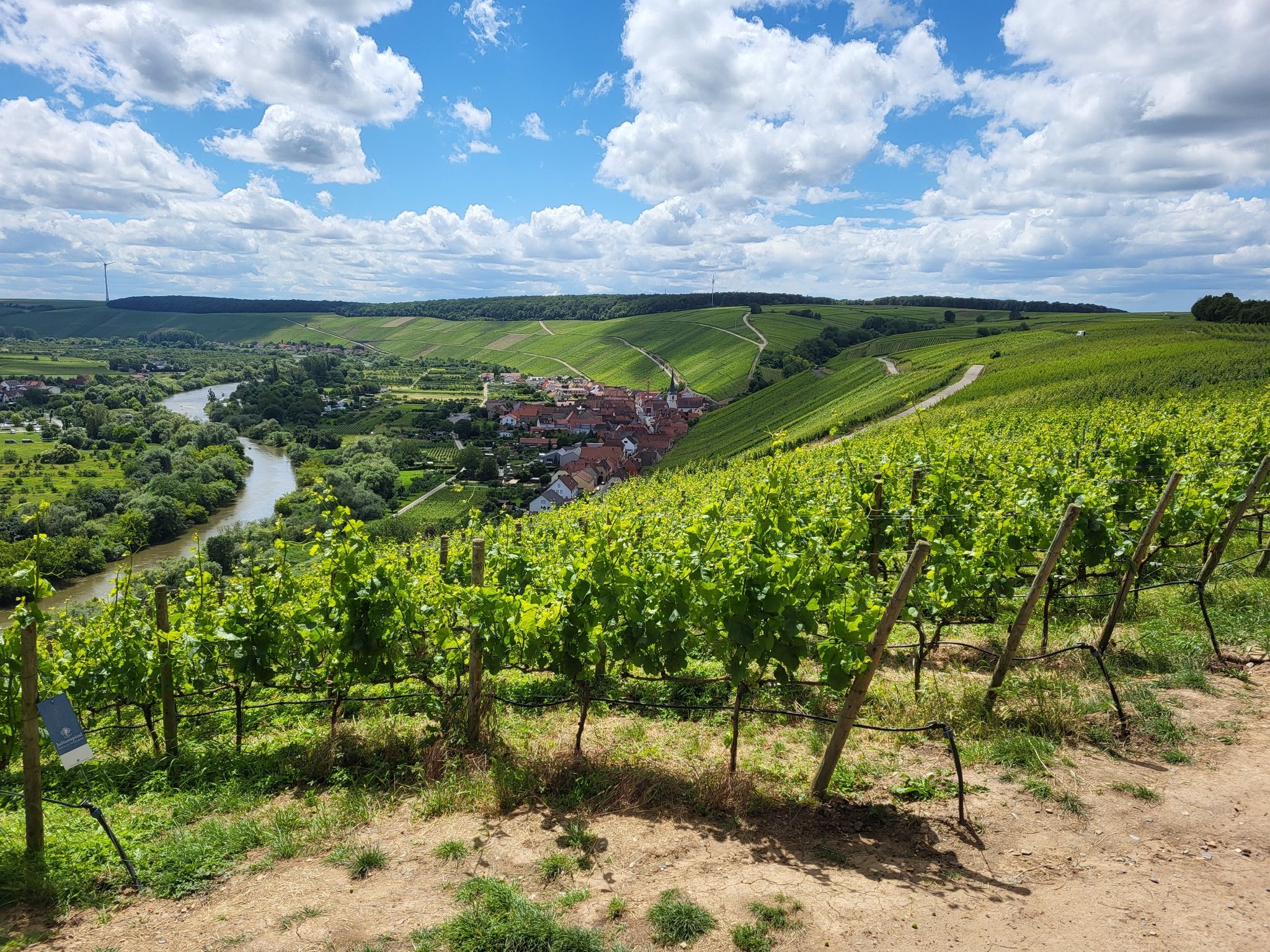 Vogelsburg