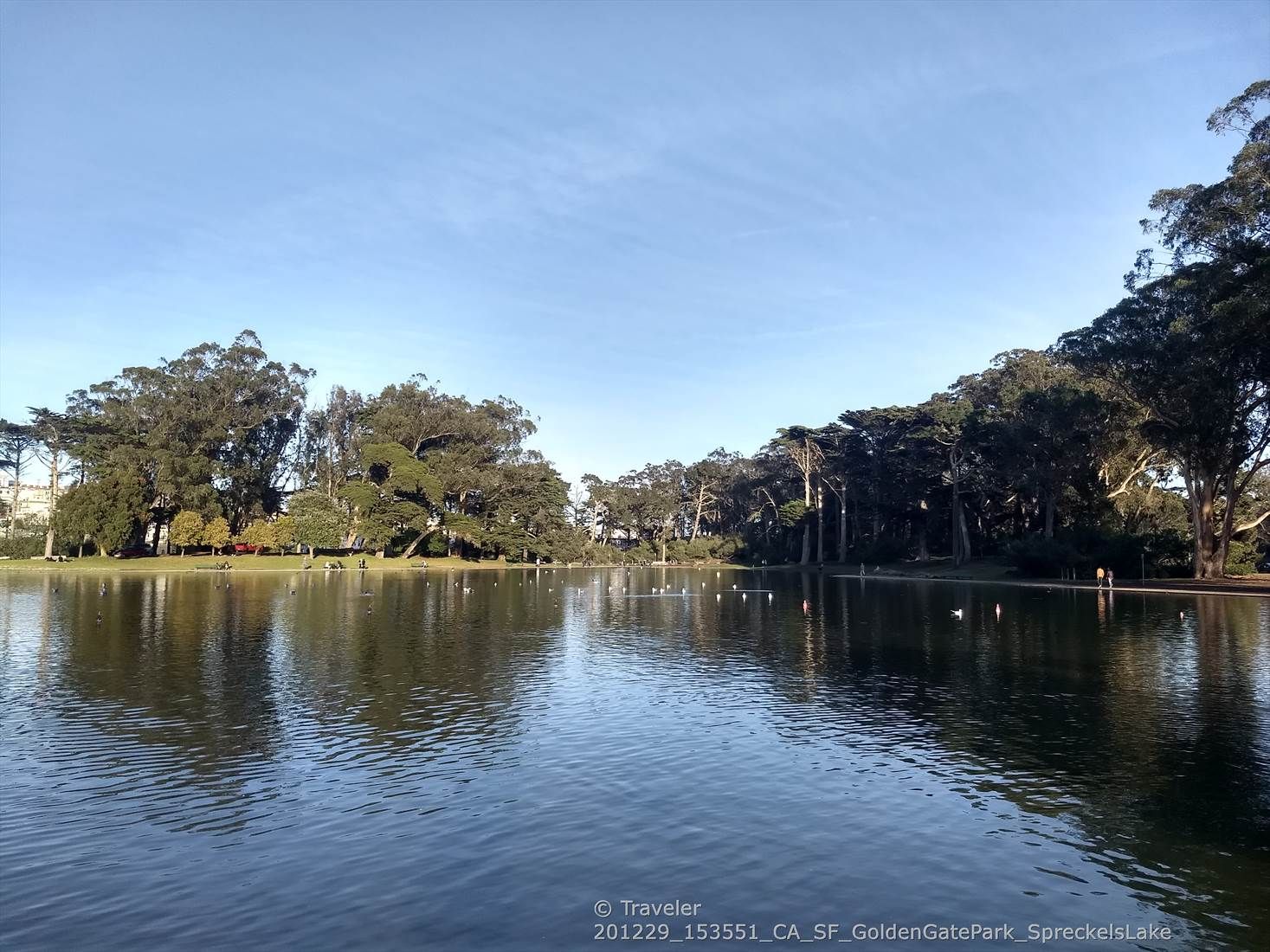 A wide, calm lake reflects trees and a blue sky, with distant people. - Bay to Breakers Course Route