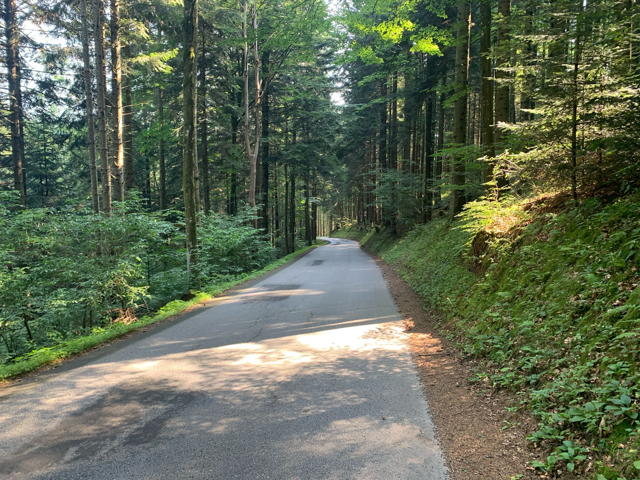 Am Bruckweg