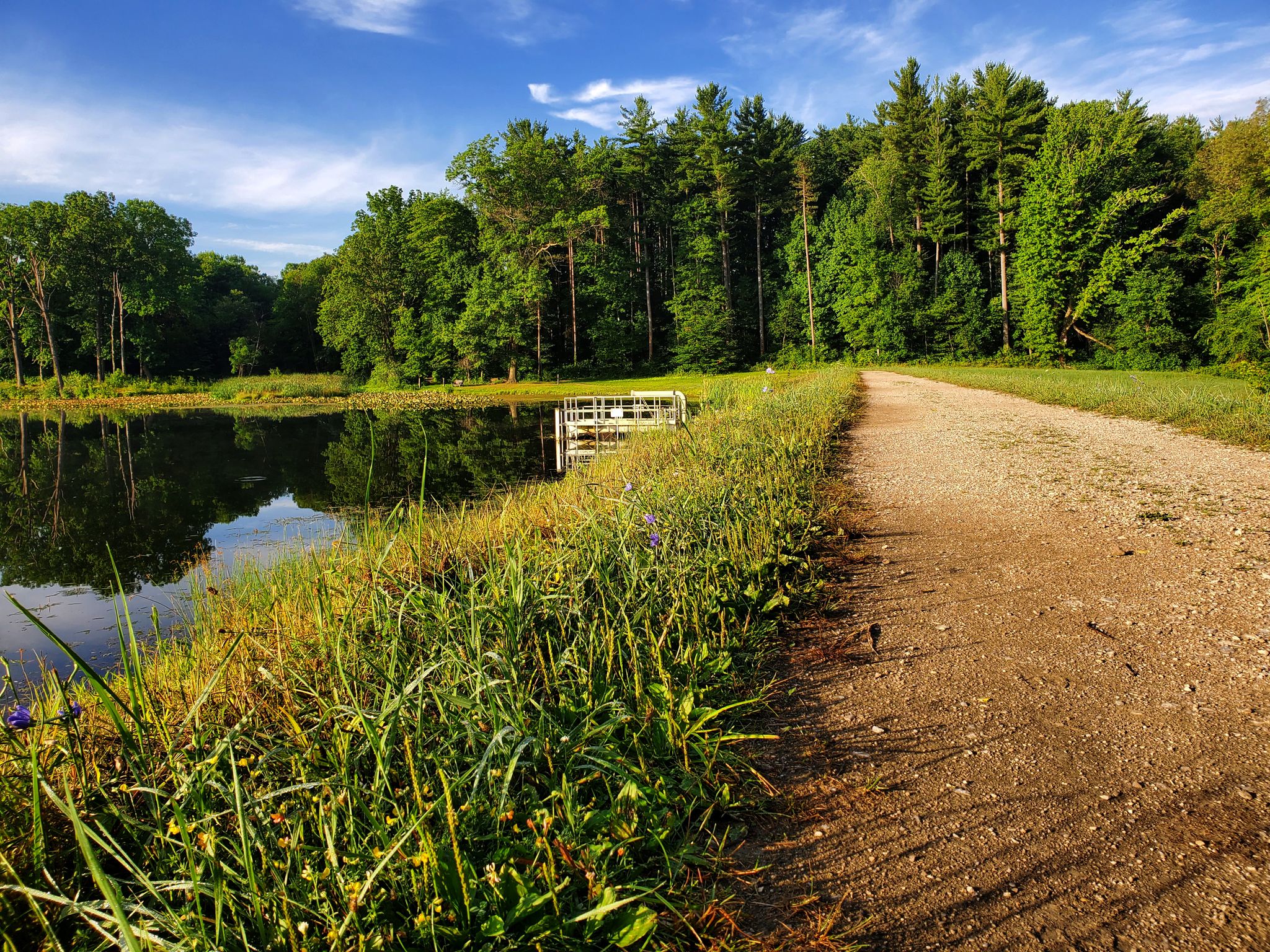 A sunlit dirt path runs beside a calm lake and dense green forest. - Wetmore, Lake and Salt Run Trail Loop