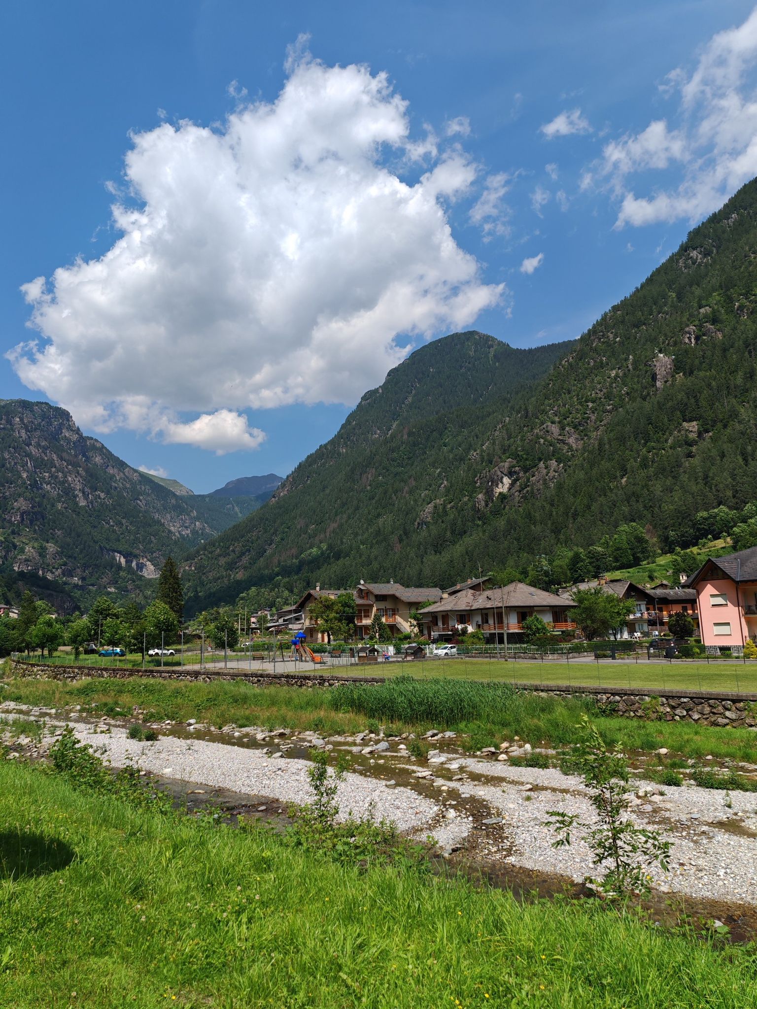Branzi