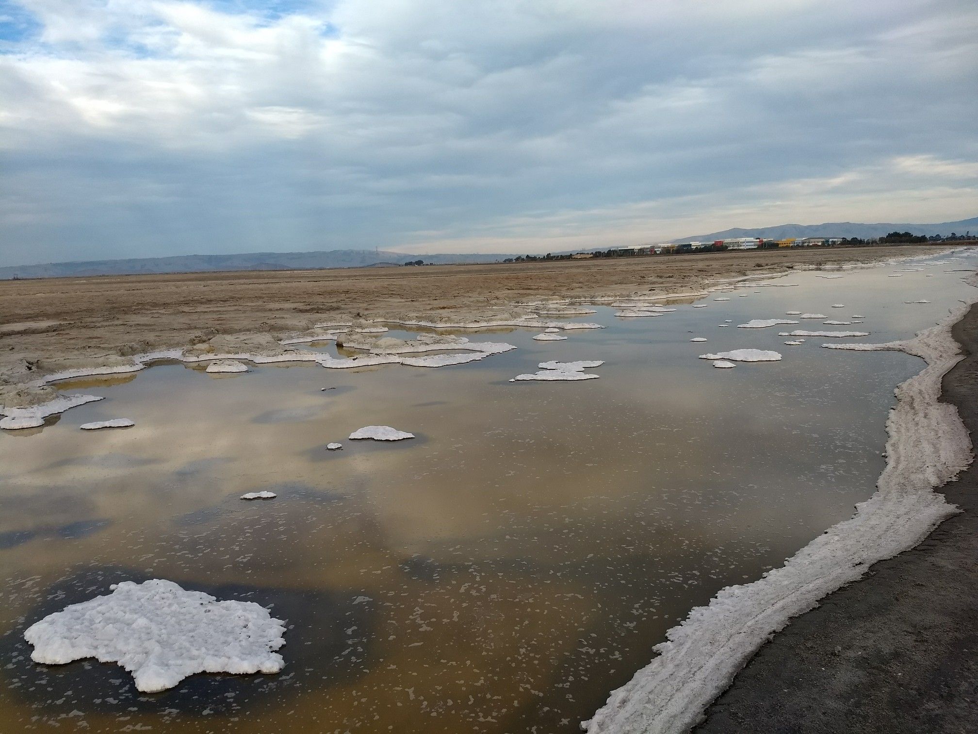 Shallow water with white salt formations under a cloudy, expansive sky. - Bayfront Salt Marsh loop from Salt Evaporators