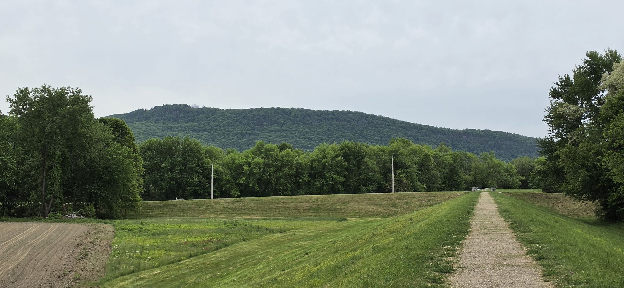 View from the Dike