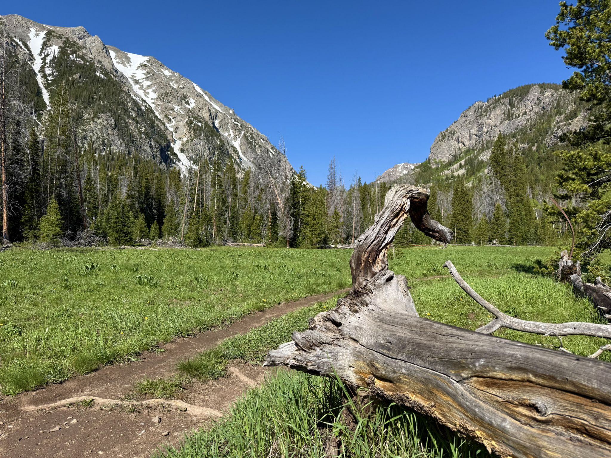 Sunny meadow with a fallen log, dirt path, and snow-capped mountains. - Willow Creek Falls via South Willow Creek Trail