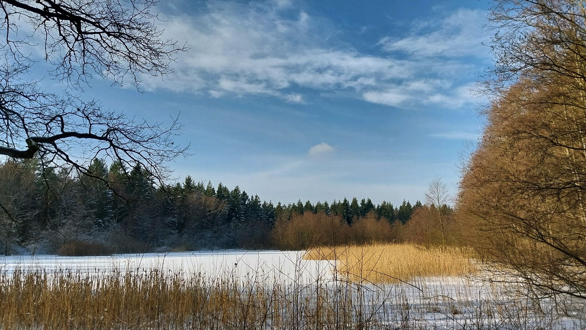 und noch ein unberührter Teich
