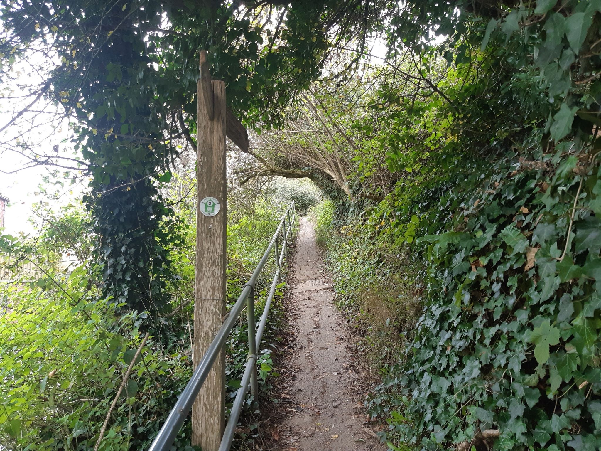 Climbing the Cotswold Way to Wotton Hill