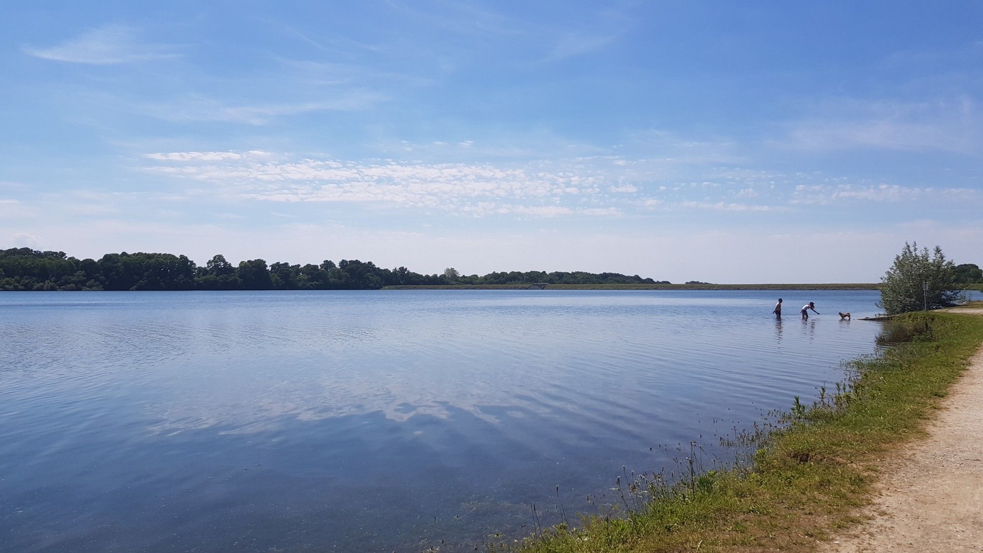 Rive droite du Lac du Gabas