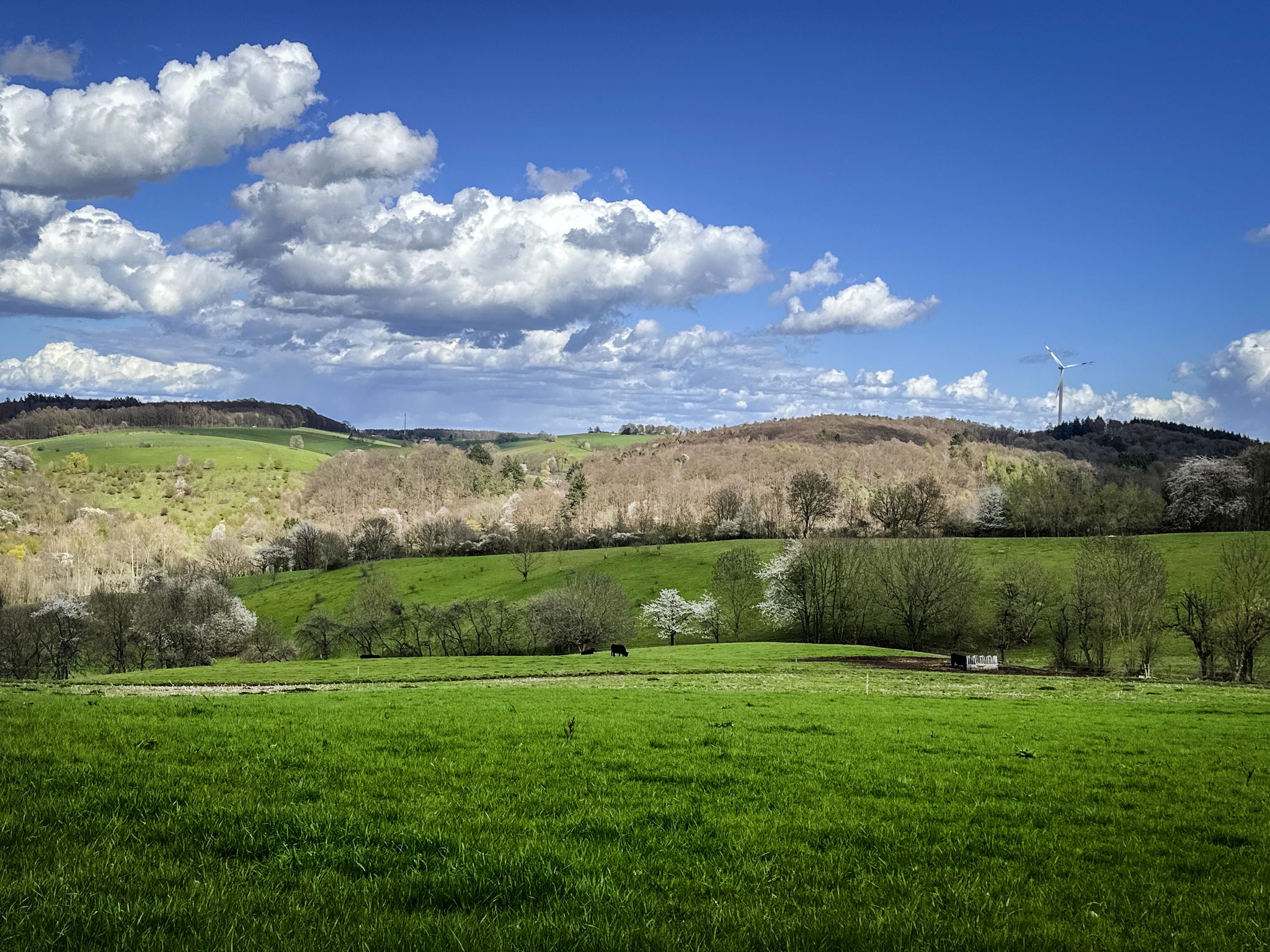 Odenwald-Blick