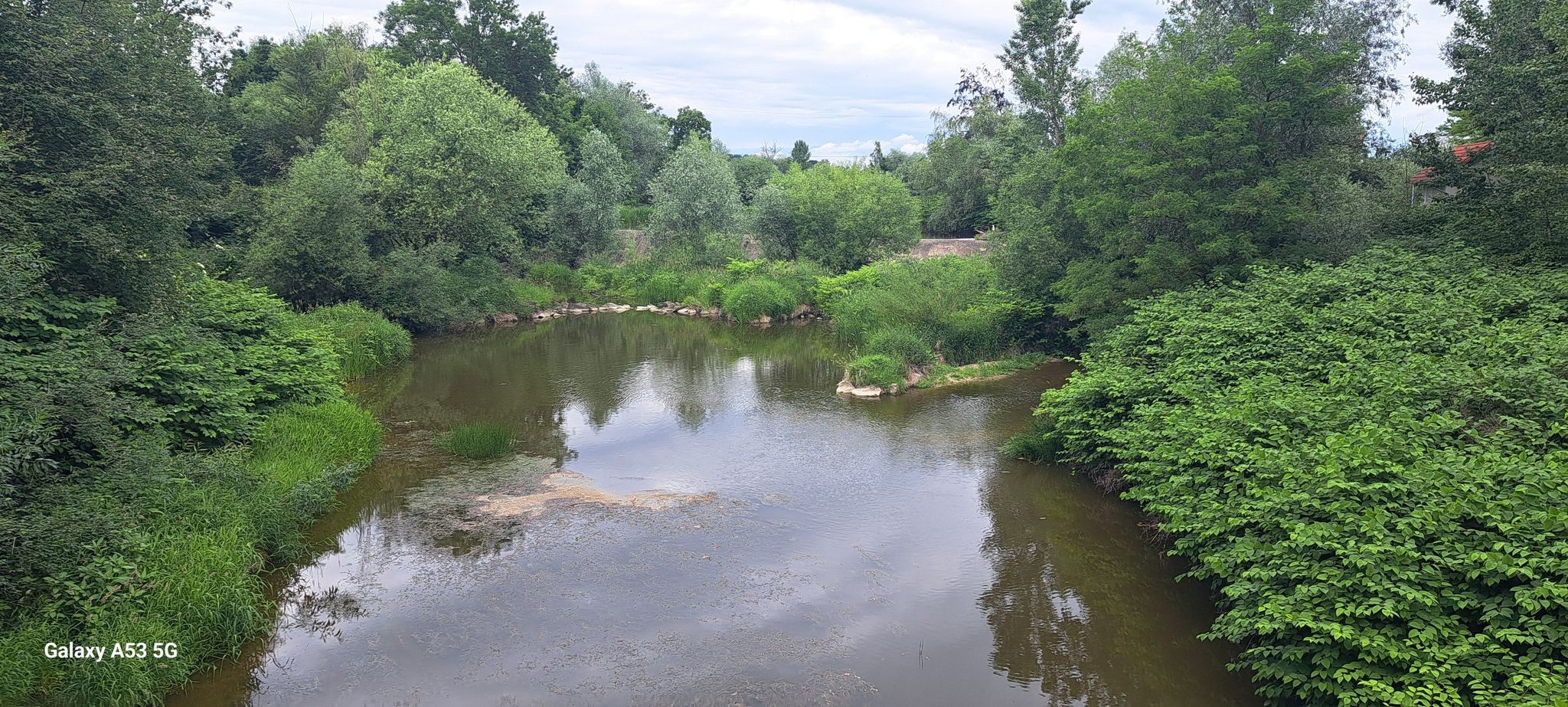 an der Rott