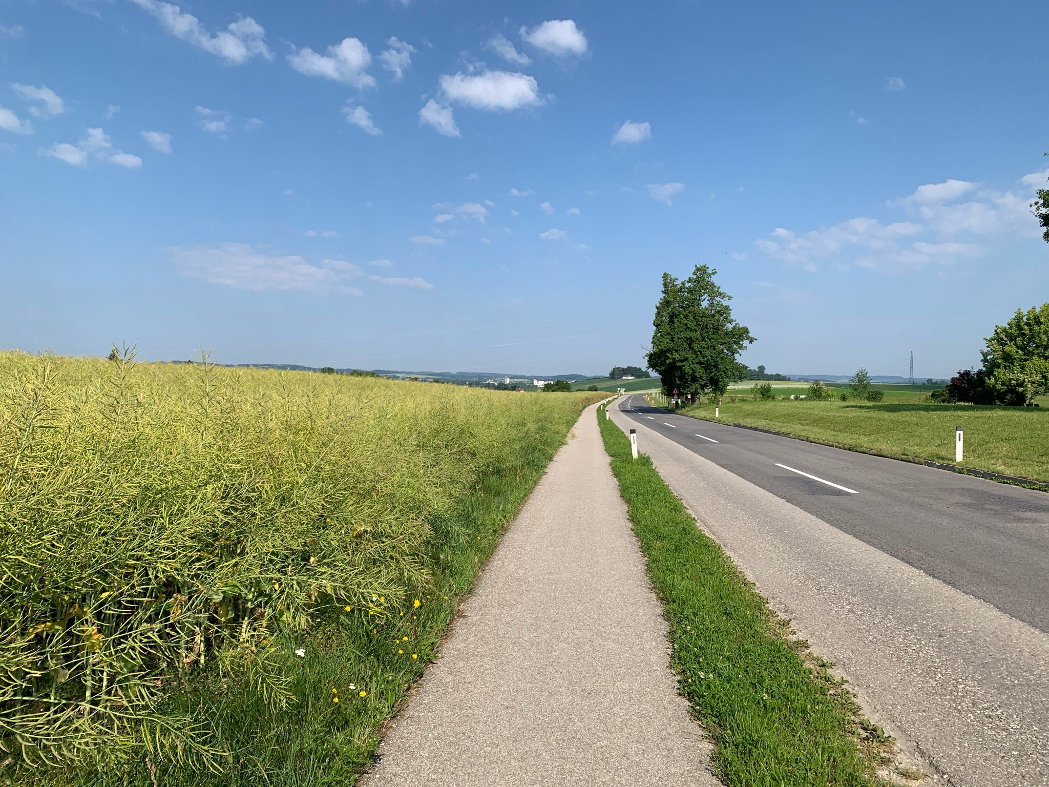 Antiesenradweg an der Hochstraße