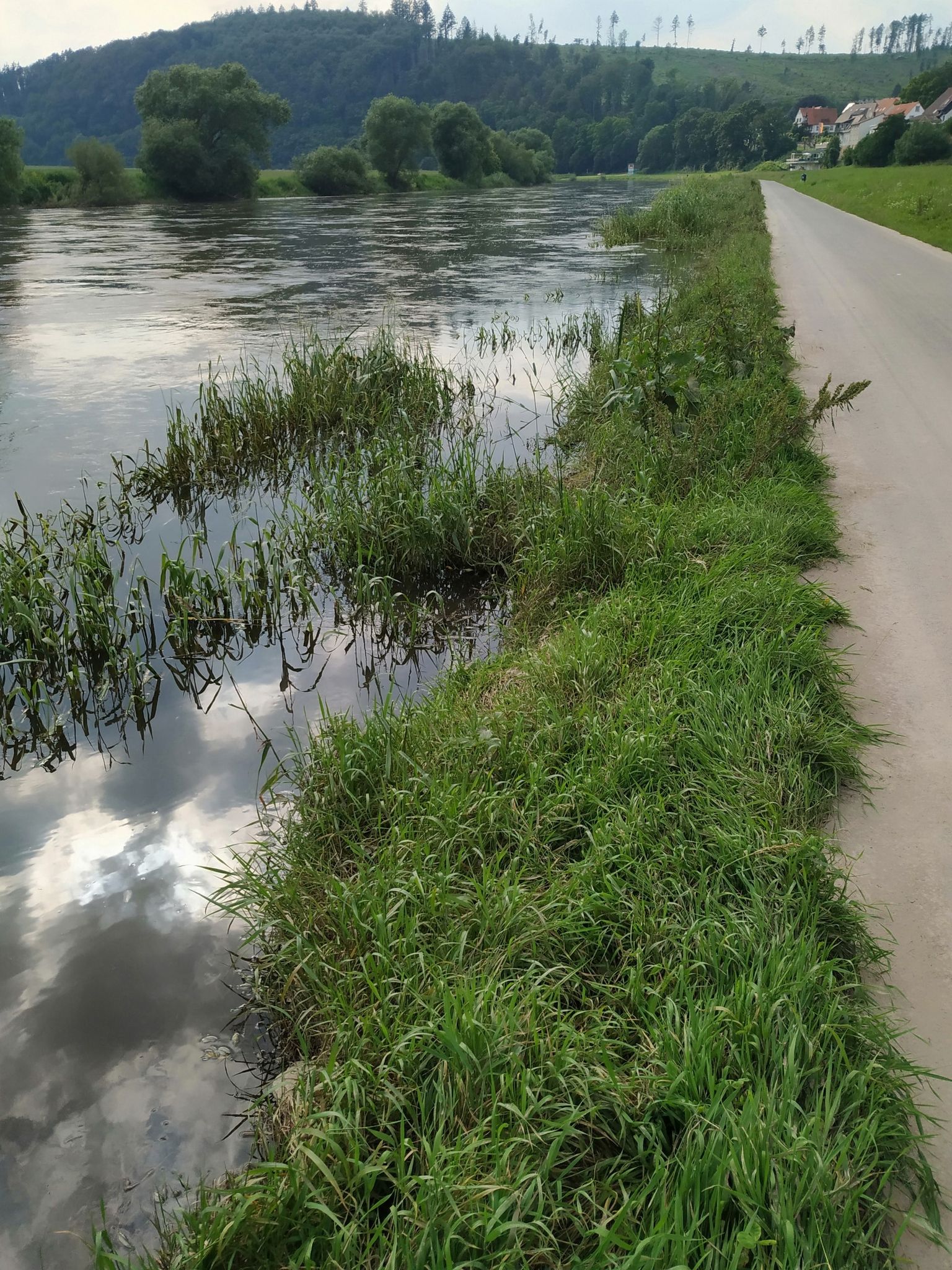 Das Wasser geht fast bis zum Radweg
