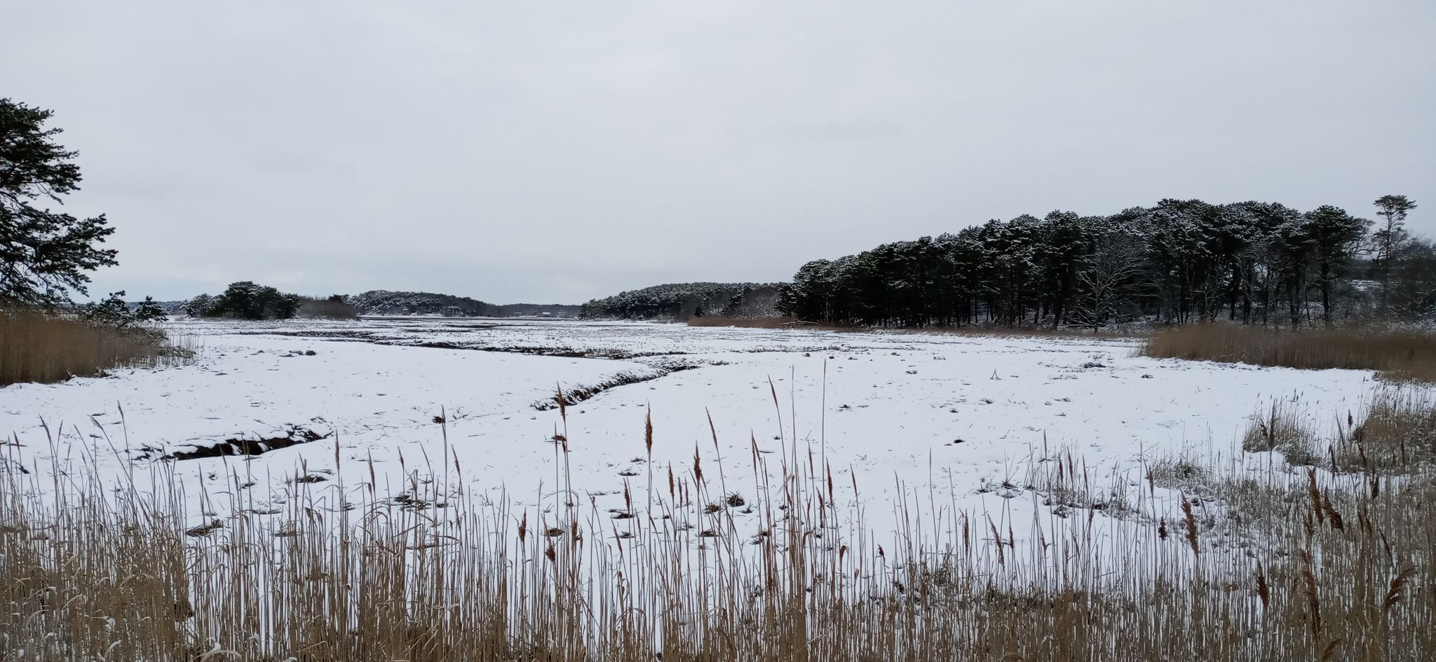 Snow blankets a wide marsh with a dark stream under a gray sky. - Goose Pond Trail
