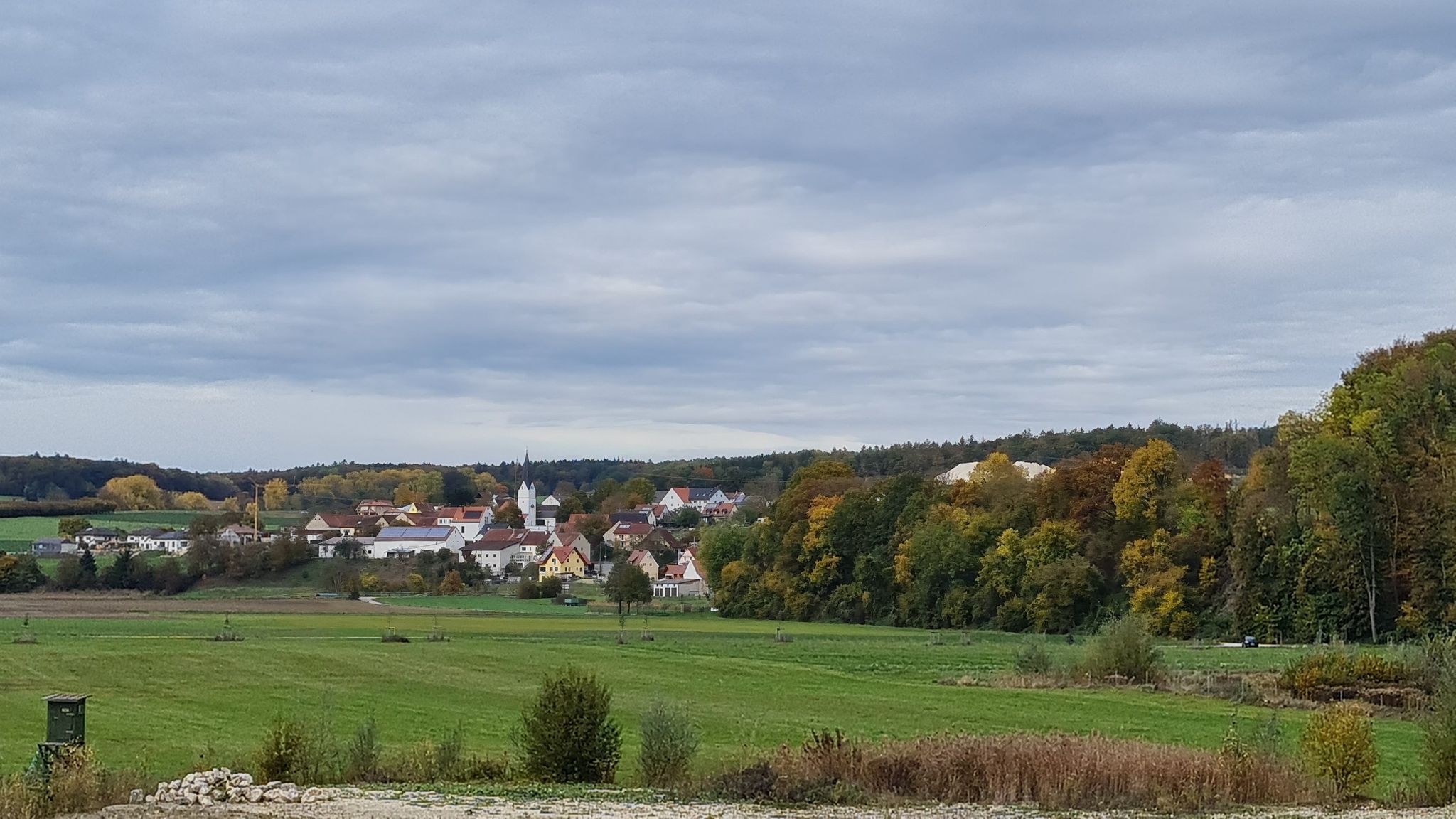 Riedensheim