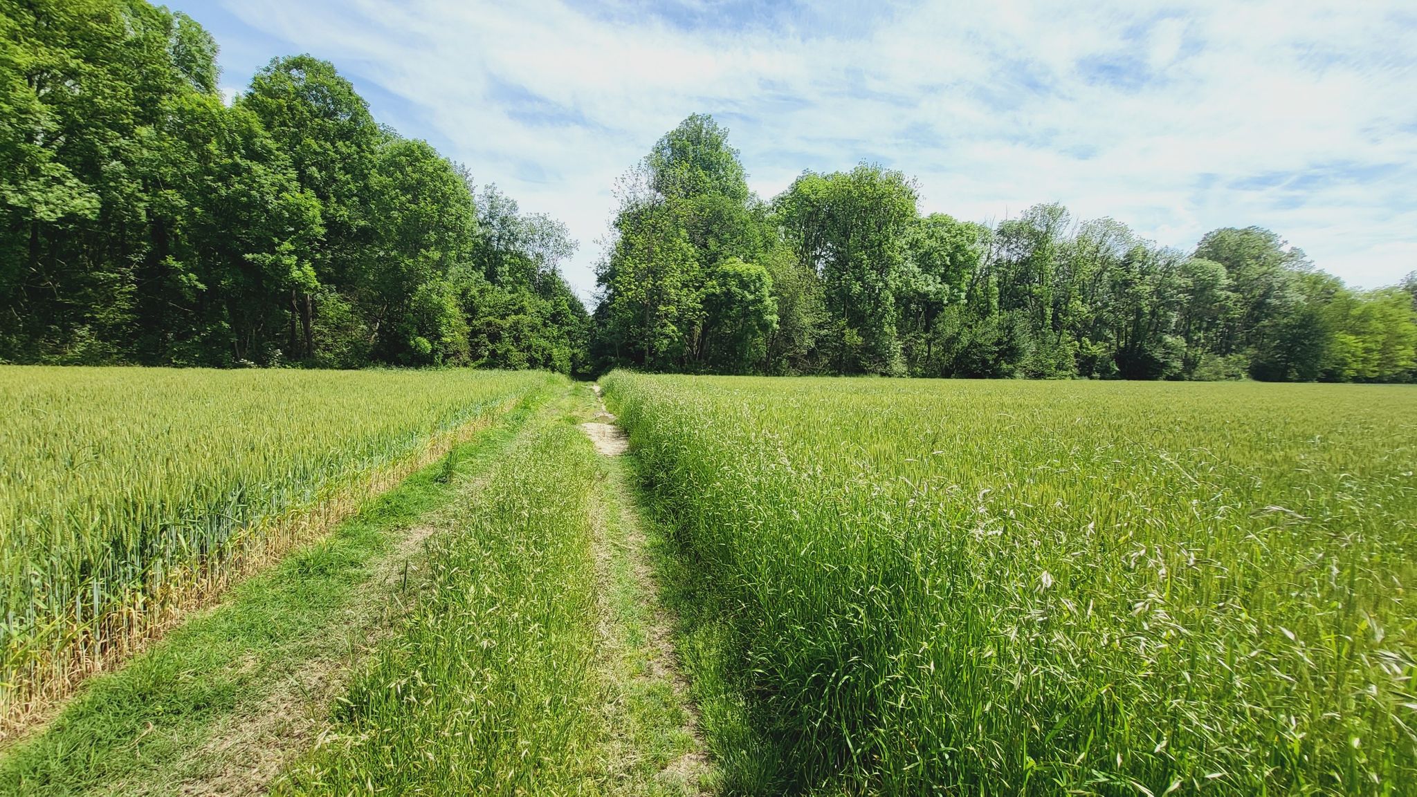 Parco Stupinigi
