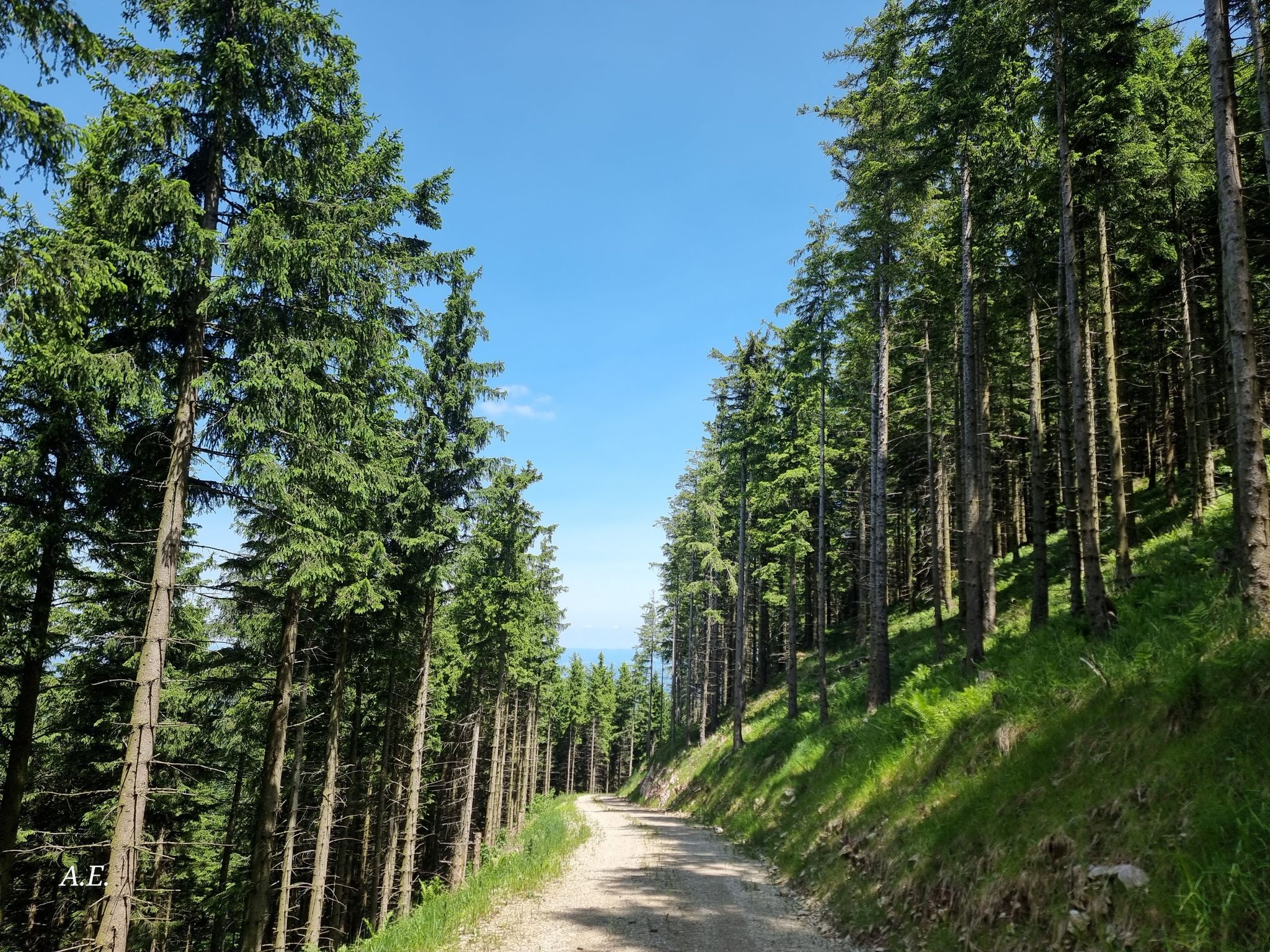 rückweg übern Güterweg