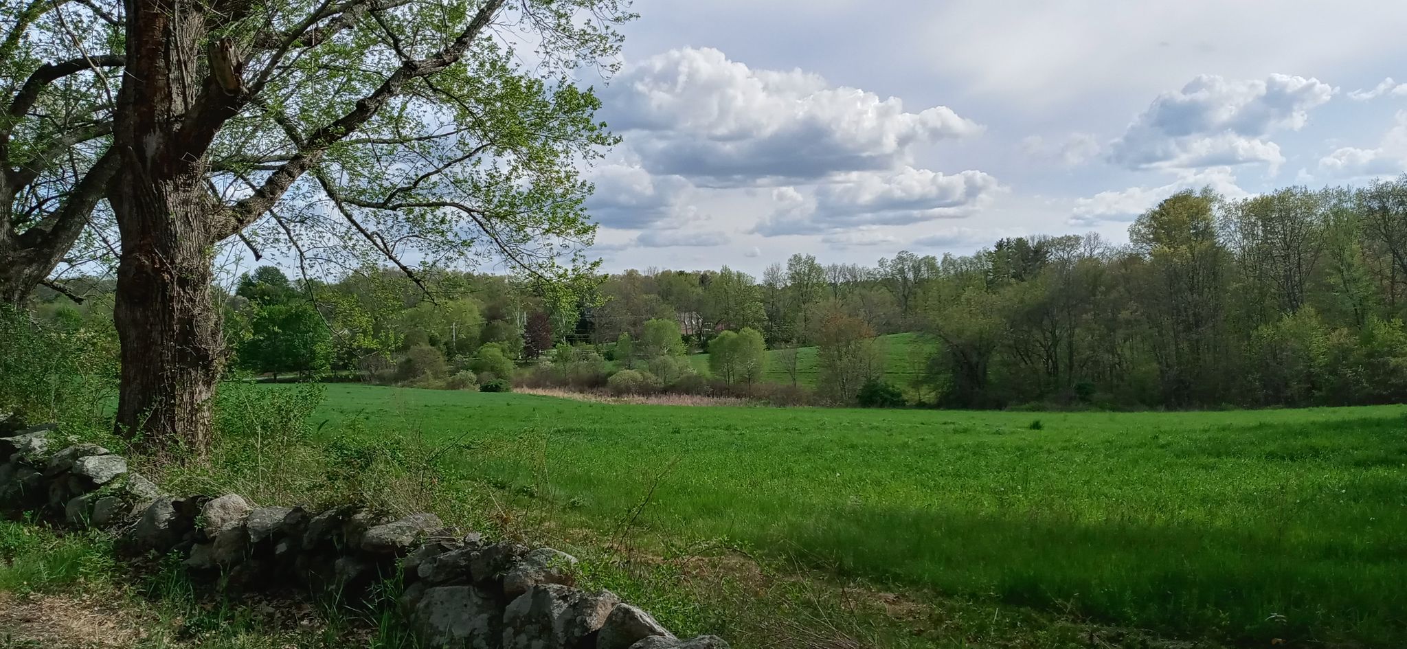 Green meadow framed by trees and a stone wall under a cloudy sky. - Maudslay State Park – Clipper City Rail Trail loop from Newburyport