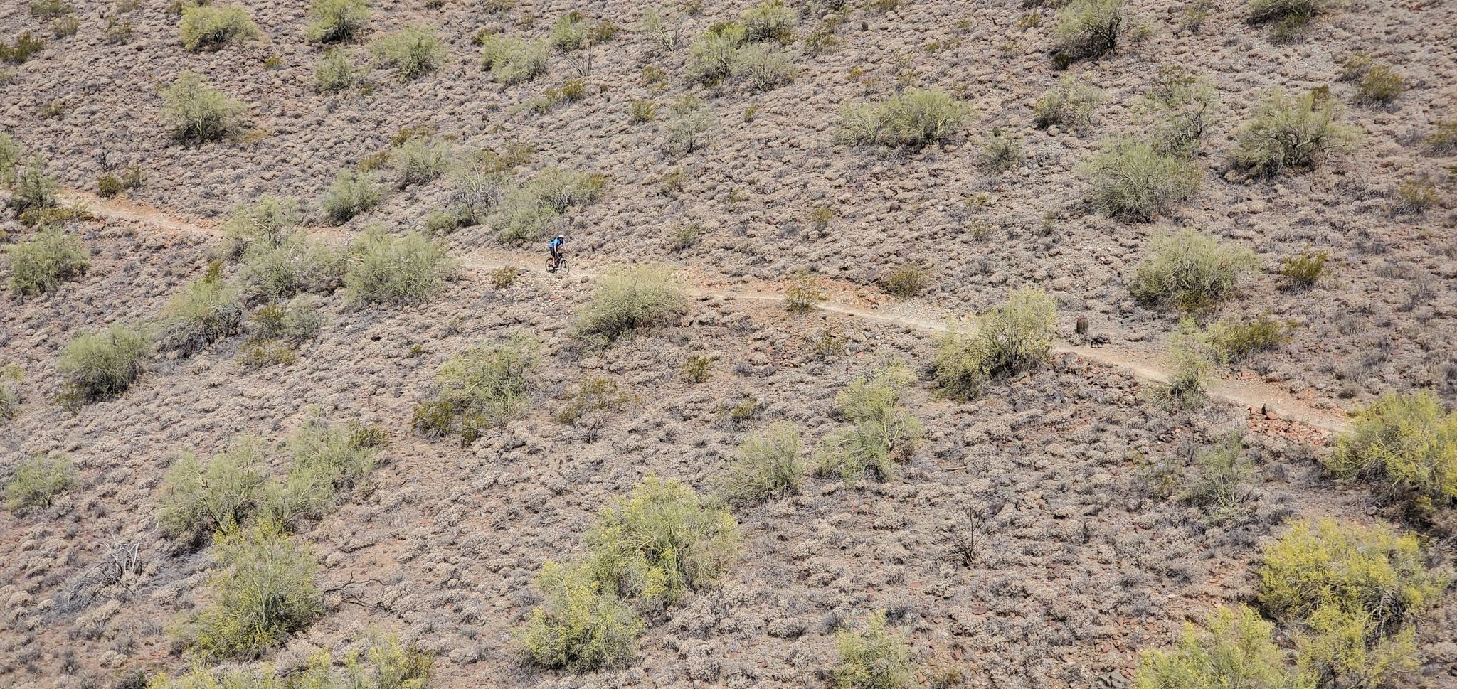 Dirt trail winding across a dry, rocky hillside with distant hikers. - Ridgeback Overlook loop from Equestrian Trailer Parking