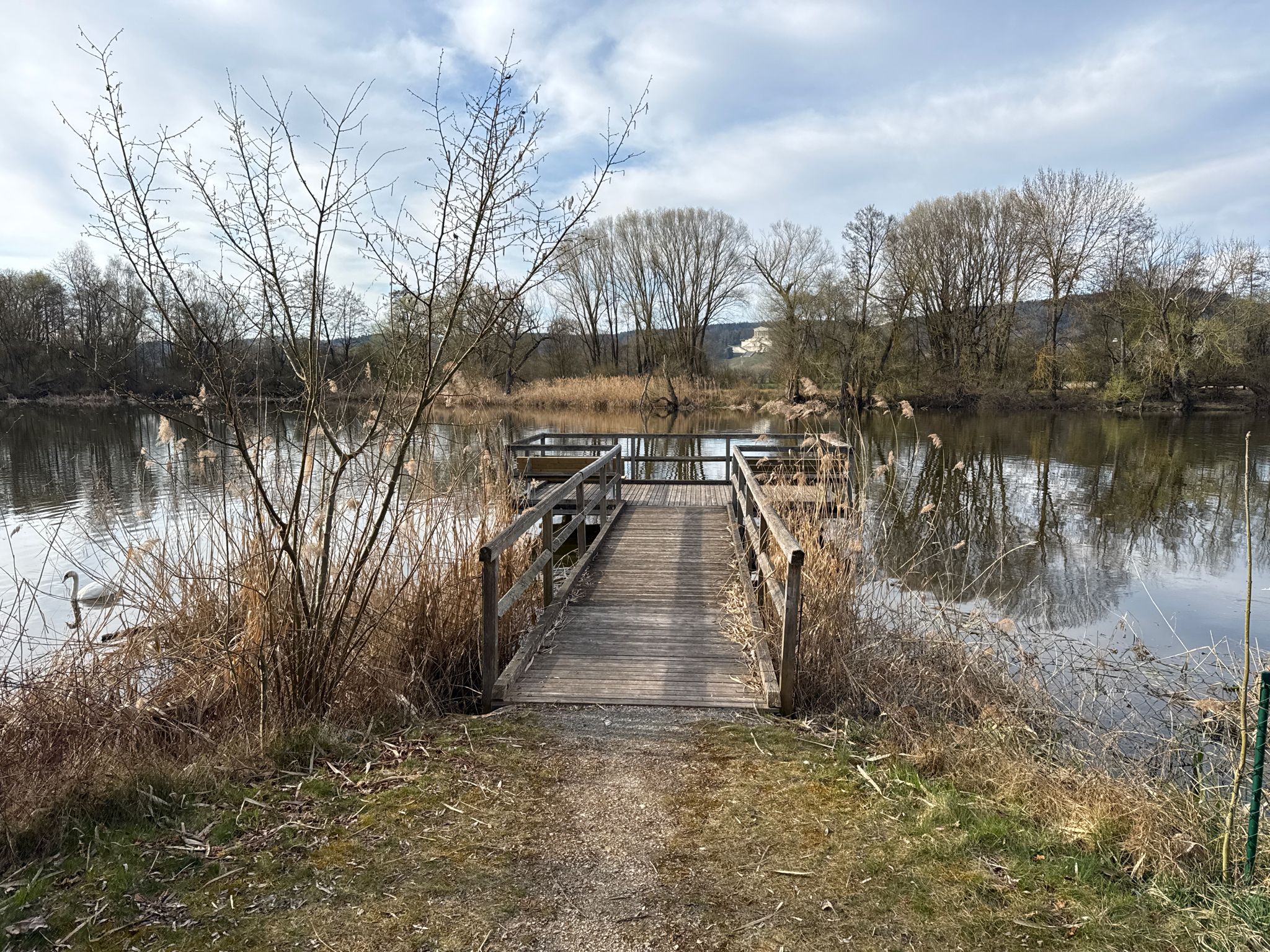 Sarching und  der kleine See oder Weiher Rinsen