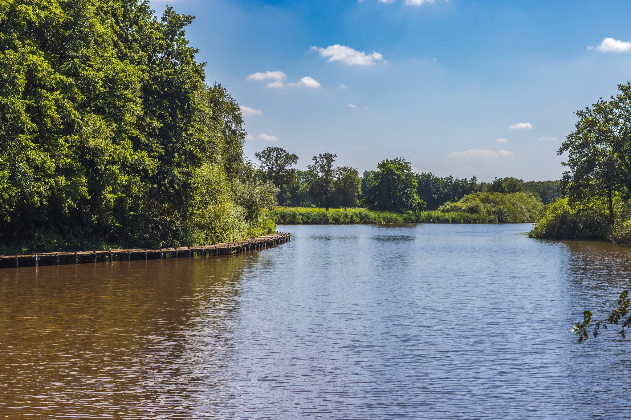 Ligne of Bergsche water.