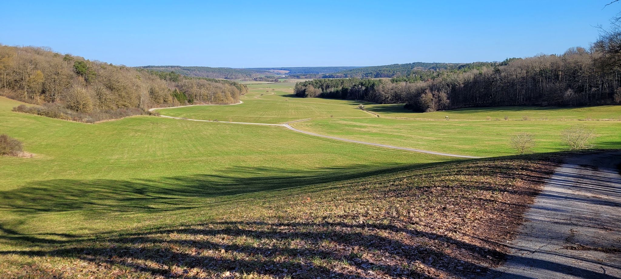 Blick ins Tal bei Grüb