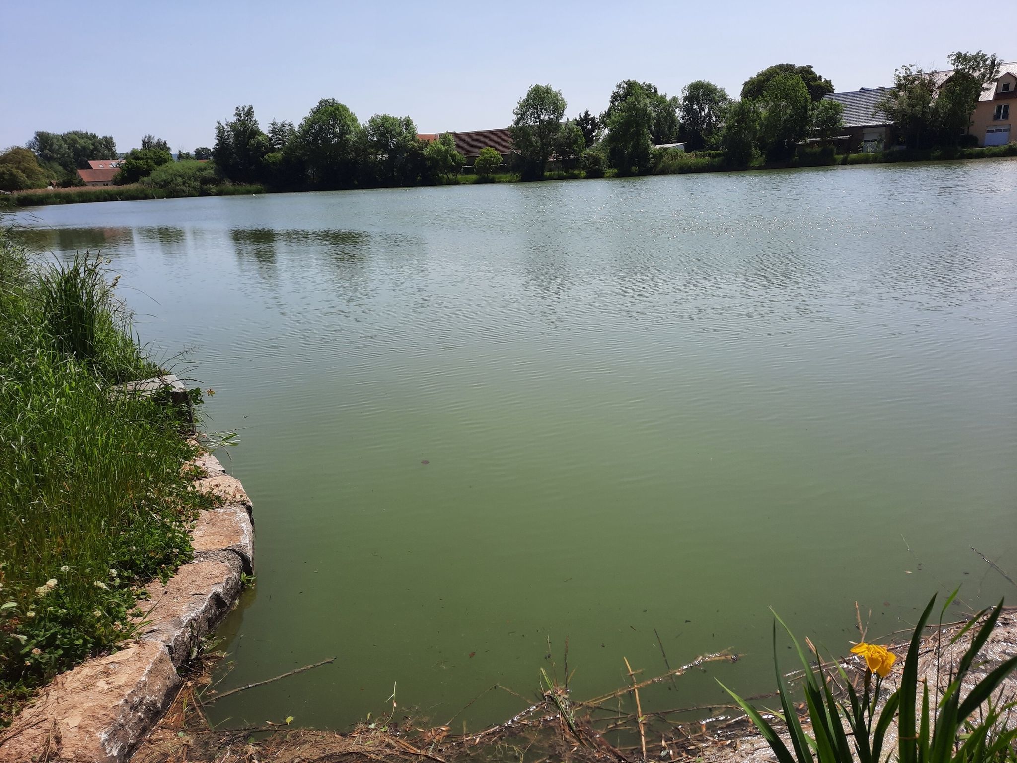 Dorfsee in Mönchstockheim