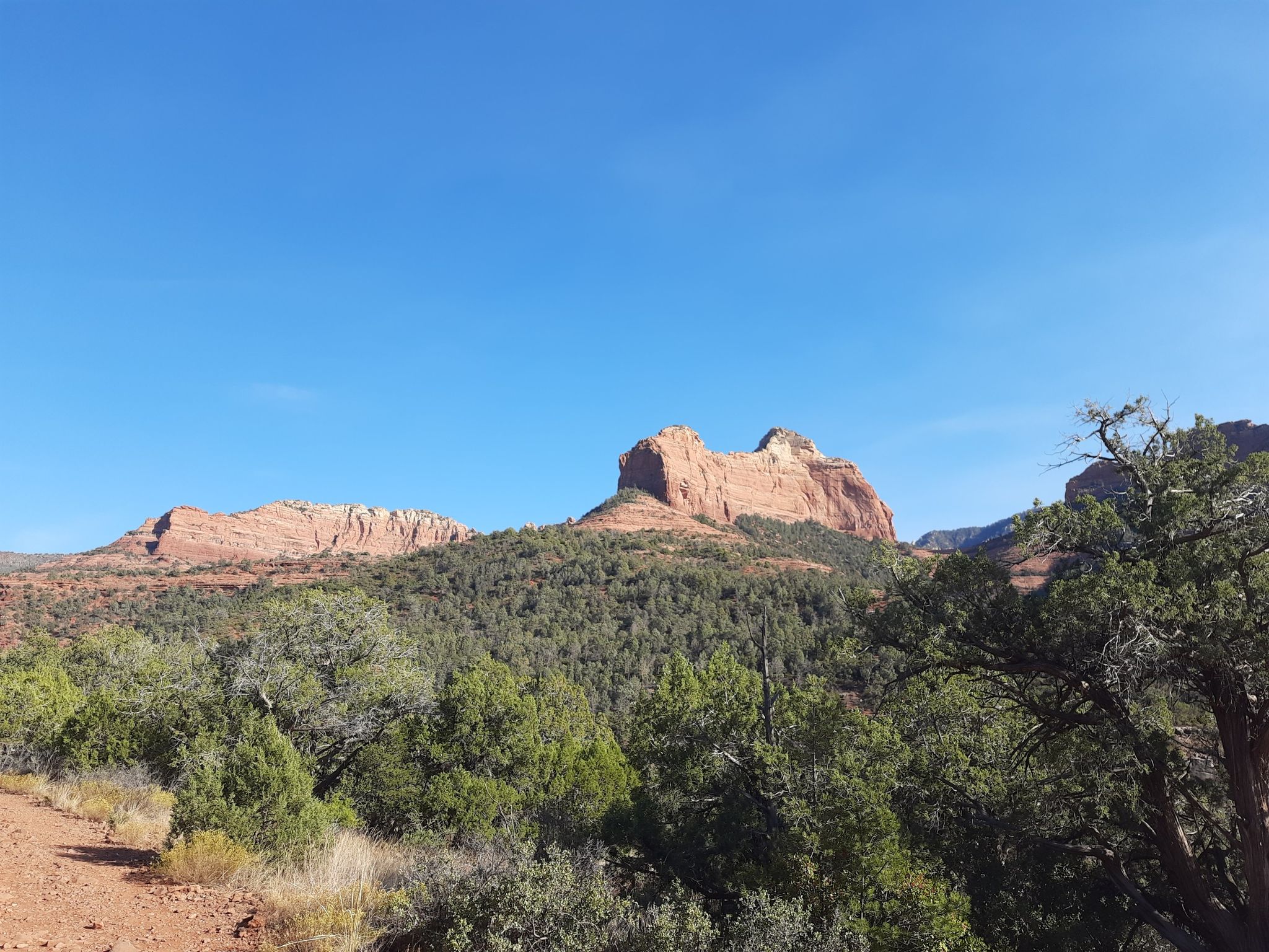 Red rock formations rise above green trees under a clear blue sky. - Oak Creek Spur A