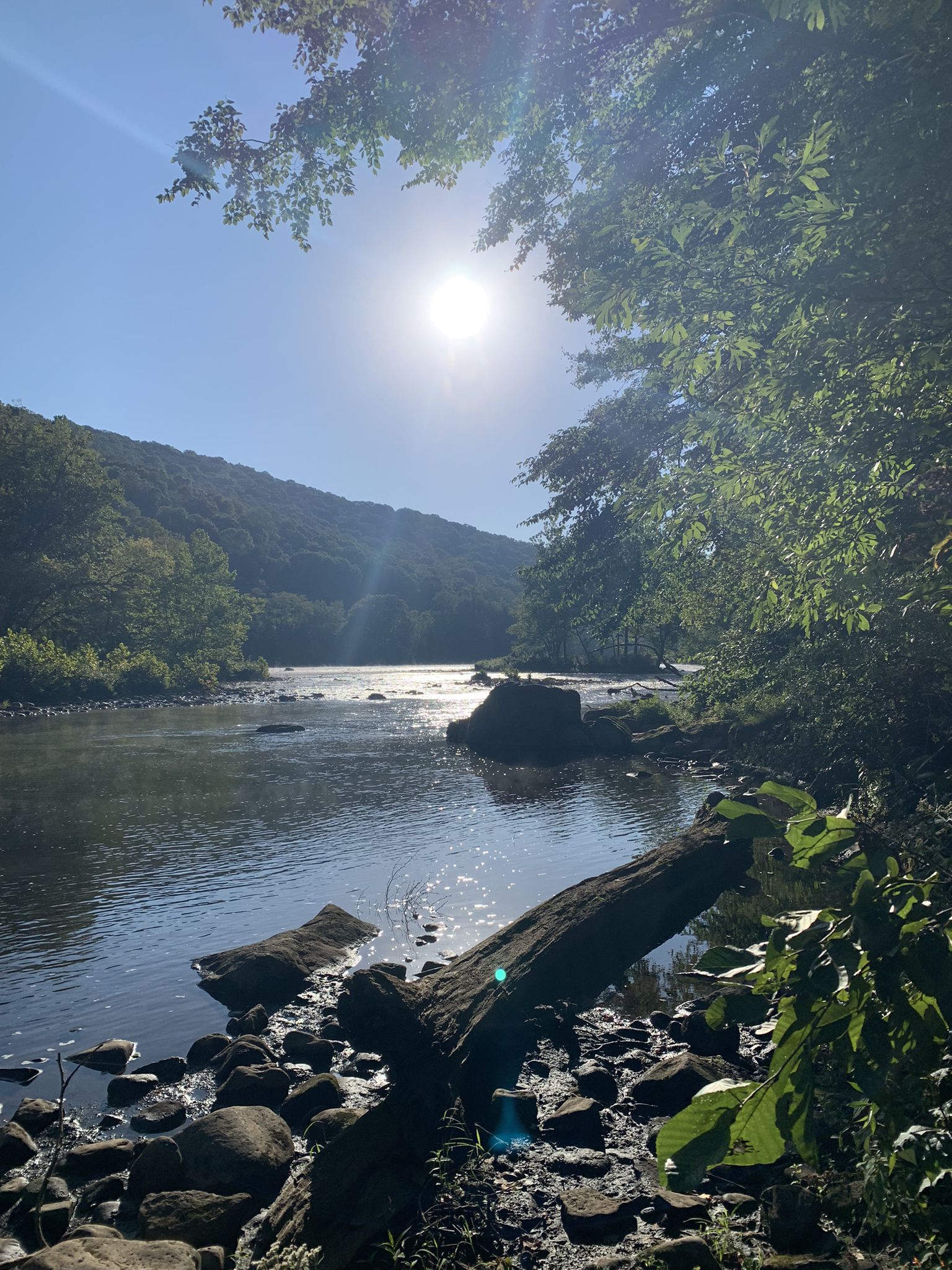 Bright sun shines over a river flowing through a forested valley. - Ohiopyle to Bidwell via Laurel Highlands Hiking Trail