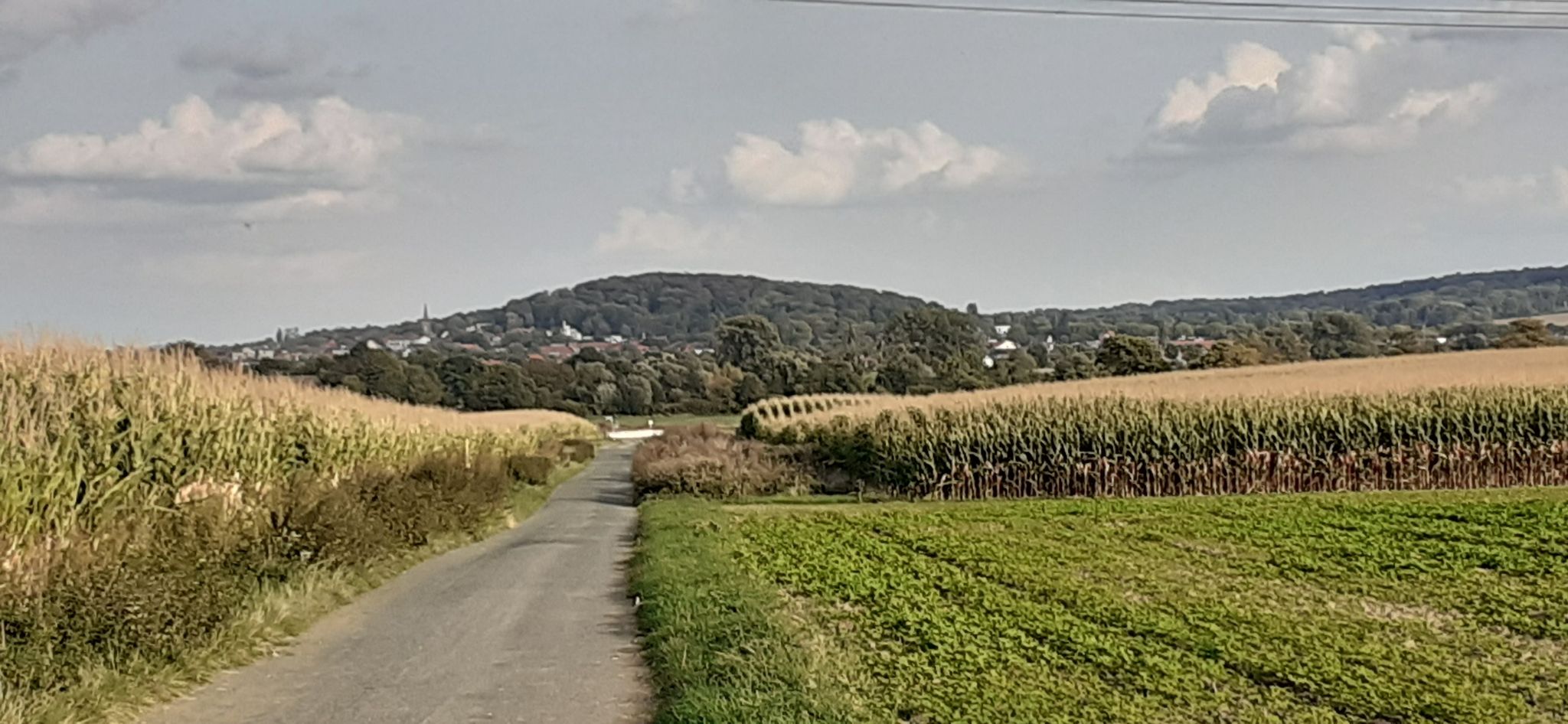 Ziel im Blick - noch 5km