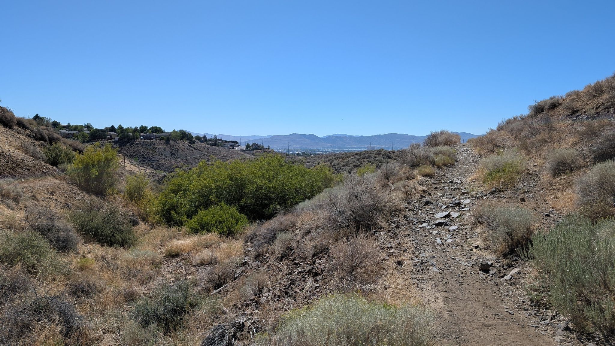 A dirt trail leads through a dry, brushy valley under a clear blue sky. - Arboretum Loop – Nature Trail loop from University of Nevada, Reno