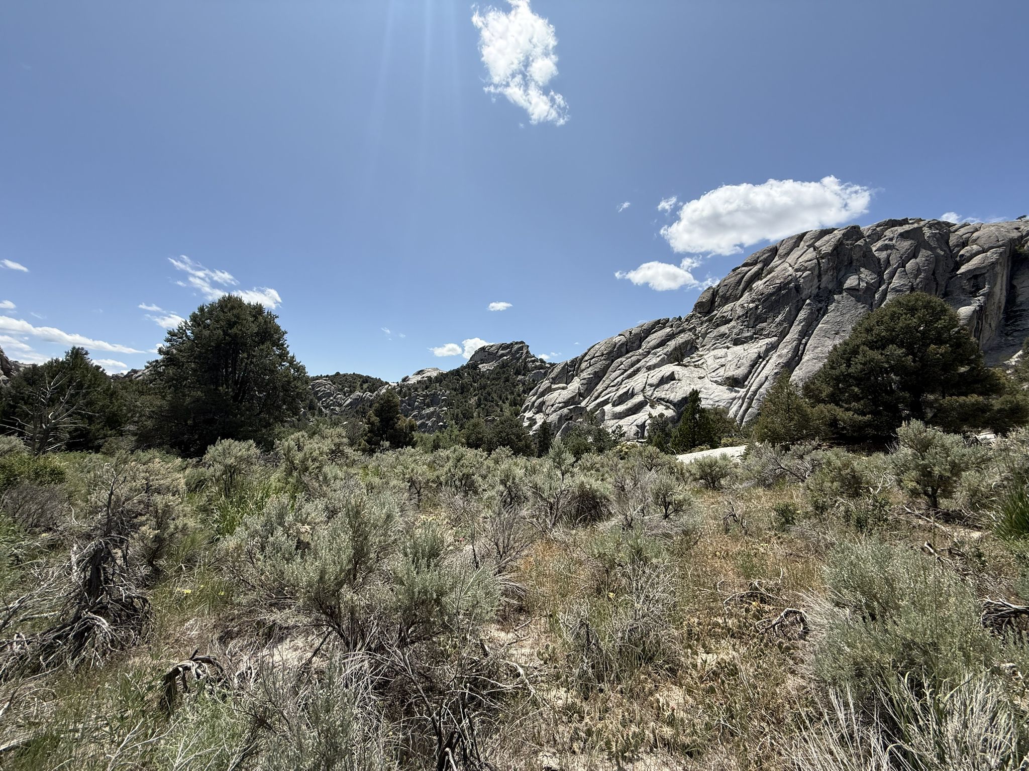 Sunny arid landscape with low bushes and distant rocky hills under a blue sky. - City of Rocks Loop