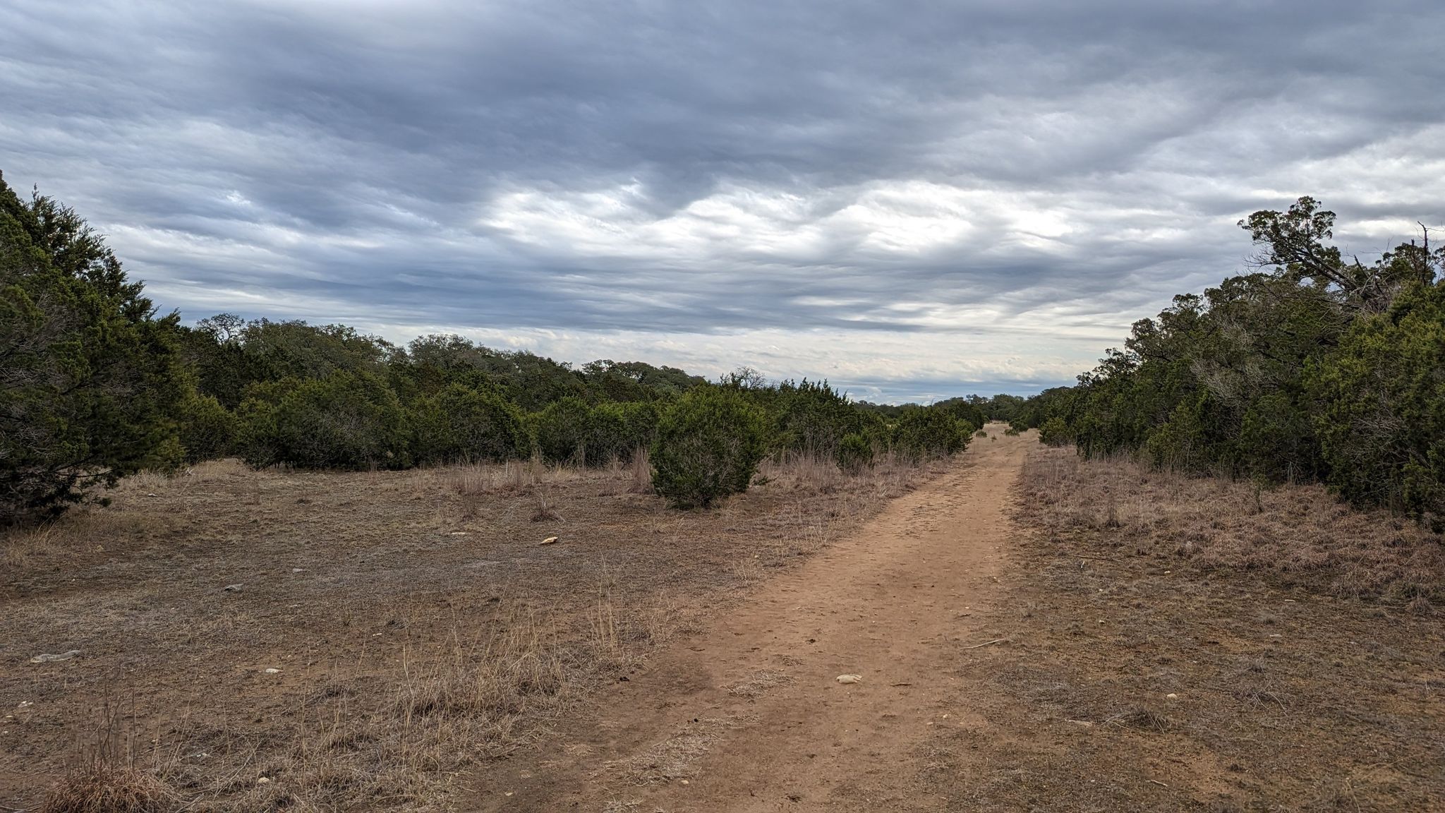 A dirt path winds through dry brush and trees under a cloudy sky. - Bamberger, Golden-cheeked Warbler, and Little Bluestem Loop